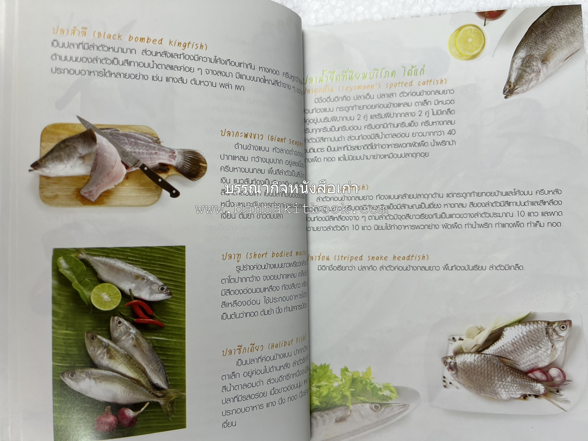 อร่อยเด็ด เมนูปลา โดย : สำนักพิมพ์แม่บ้าน.