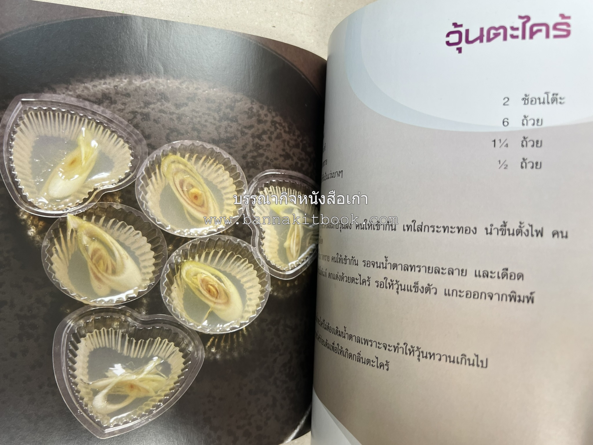 วุ้นหลากสไตล์ โดย : อ.ธนศักดิ์ ตั้งทองจิตร.