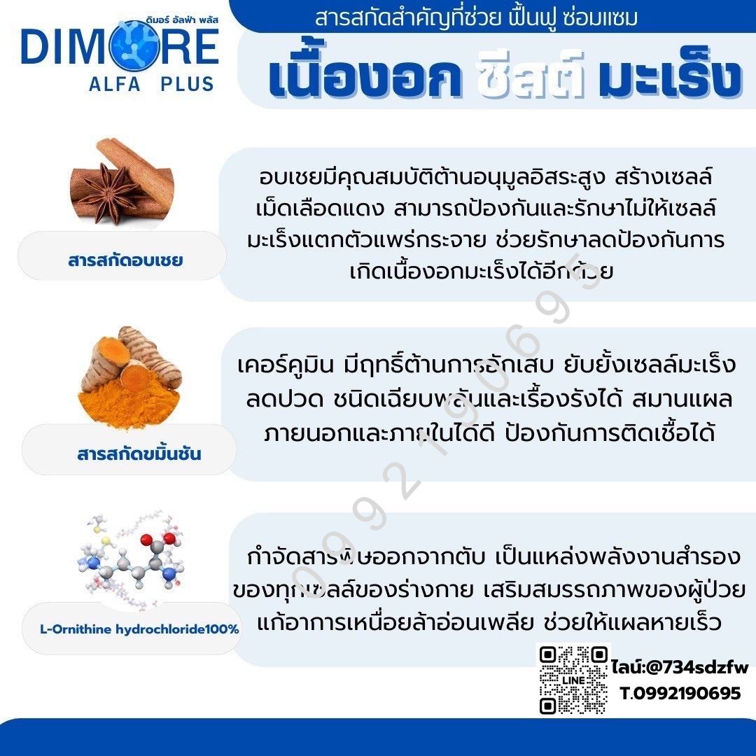 ชุดทดลอง ดิมอร์ อัลฟ่า พลัส Dimore Alfa Plus ลดอักเสบ ลดปวด สลายก้อนเนื้อ เนื้องอก ฝ่อ ป้องกันมะเร็ง โรคไต ไตเสื่อม ไตวาย ปวดหลัง ปวดเอว (10 แคปซูล)