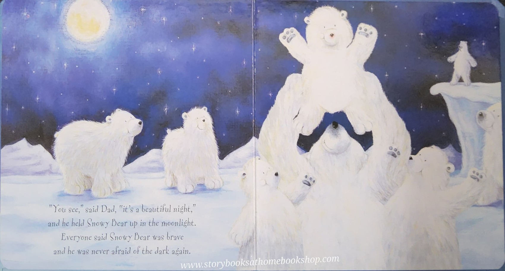 BOARD BOOK** 🍅🍅SNOWY BEAR