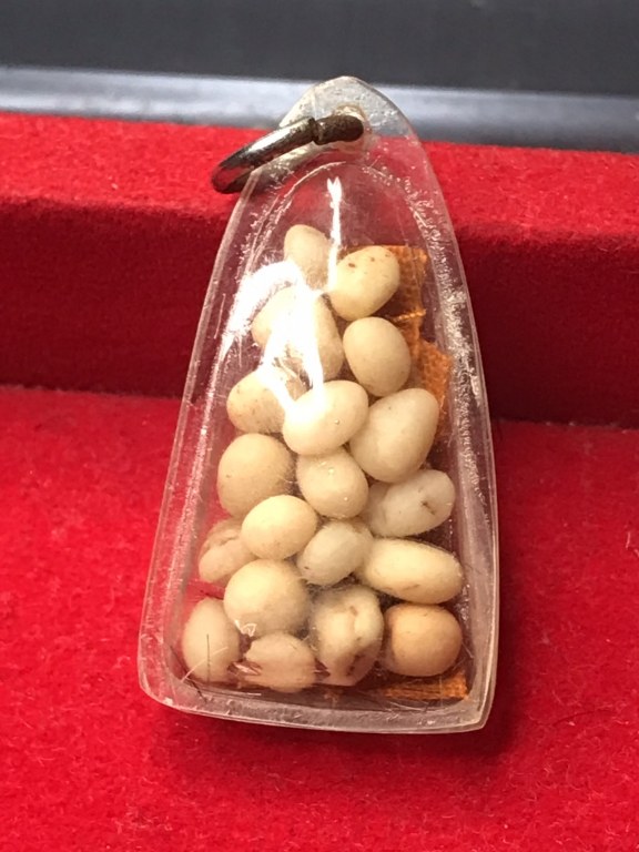 พระเกศา จีวร พระธาตุข้าวบิณฑ์ หลวงปู่ ครูบาชัยยะวงศา วัดพระพุทธบาทห้วยต้ม พระเกศาจำนวนมาก