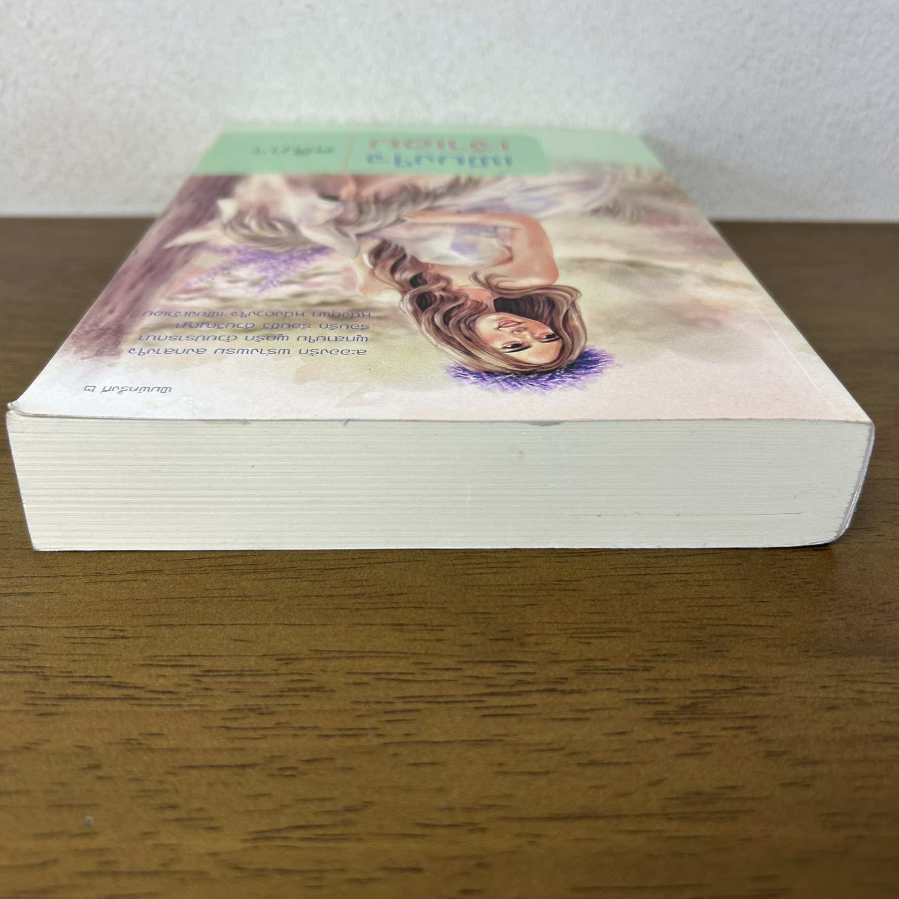 เพียงใจเจ้าเอย ... ศศิภา (มือสอง) นิยาย นิยายรัก โรแมนติก