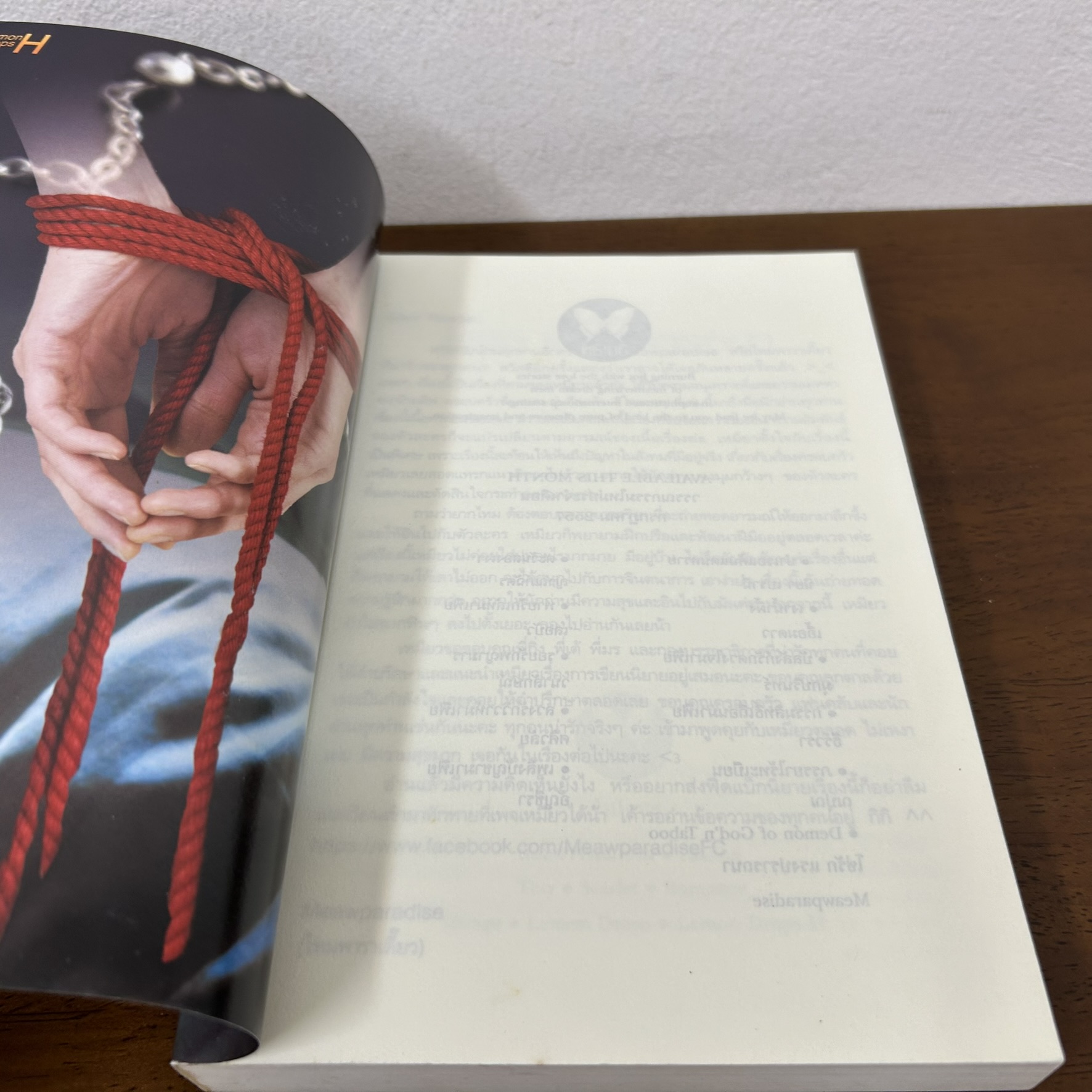 Demon of God'N Taboo โซ่รัก แรงปรารถนา ... Meawparadise (มือสอง) นิยาย โรมานซ์