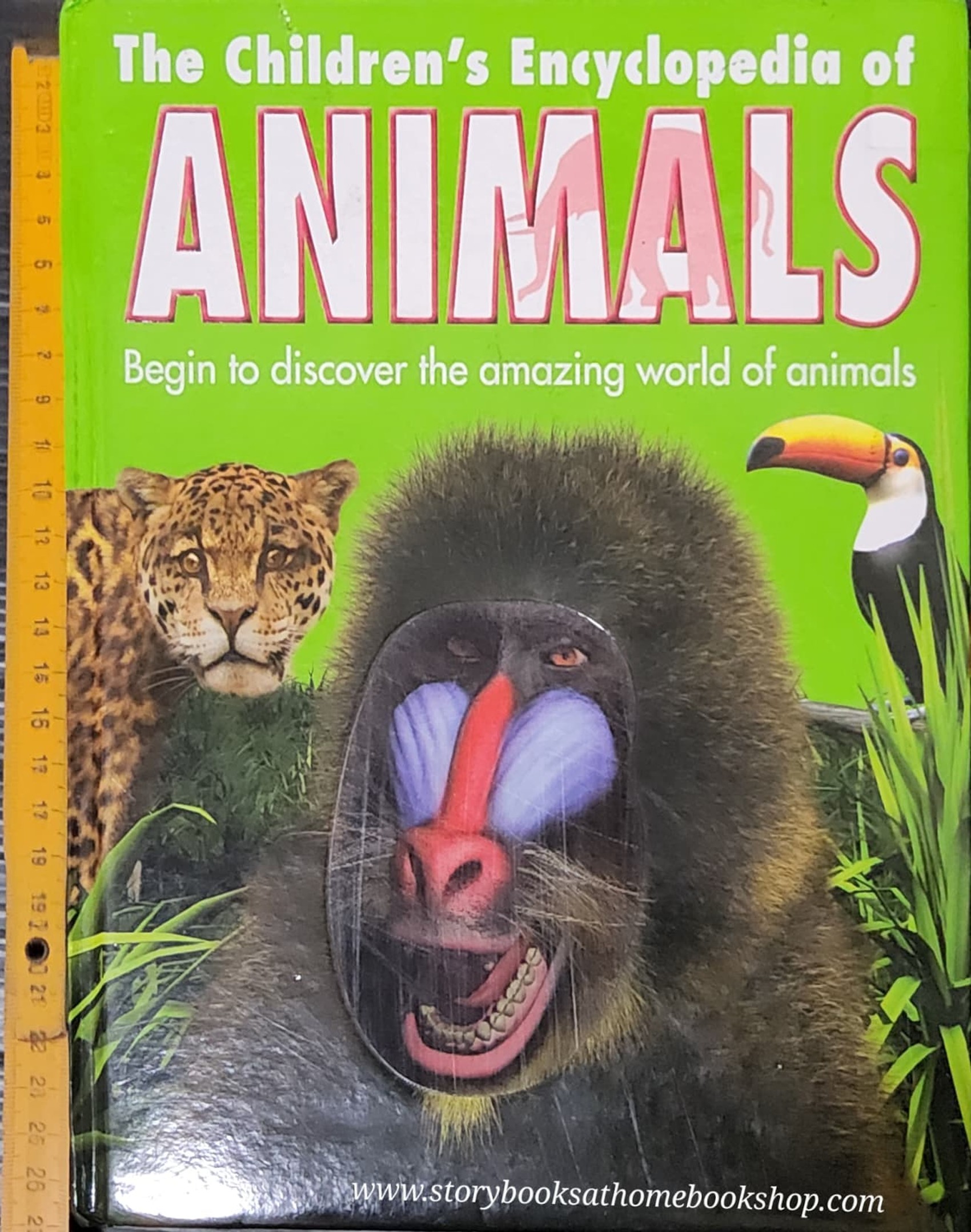 KNOWLEDGE BOOK** 🍅🍓THE CHILDREN'S ENCYCLOPEDIA OF ANIMALS