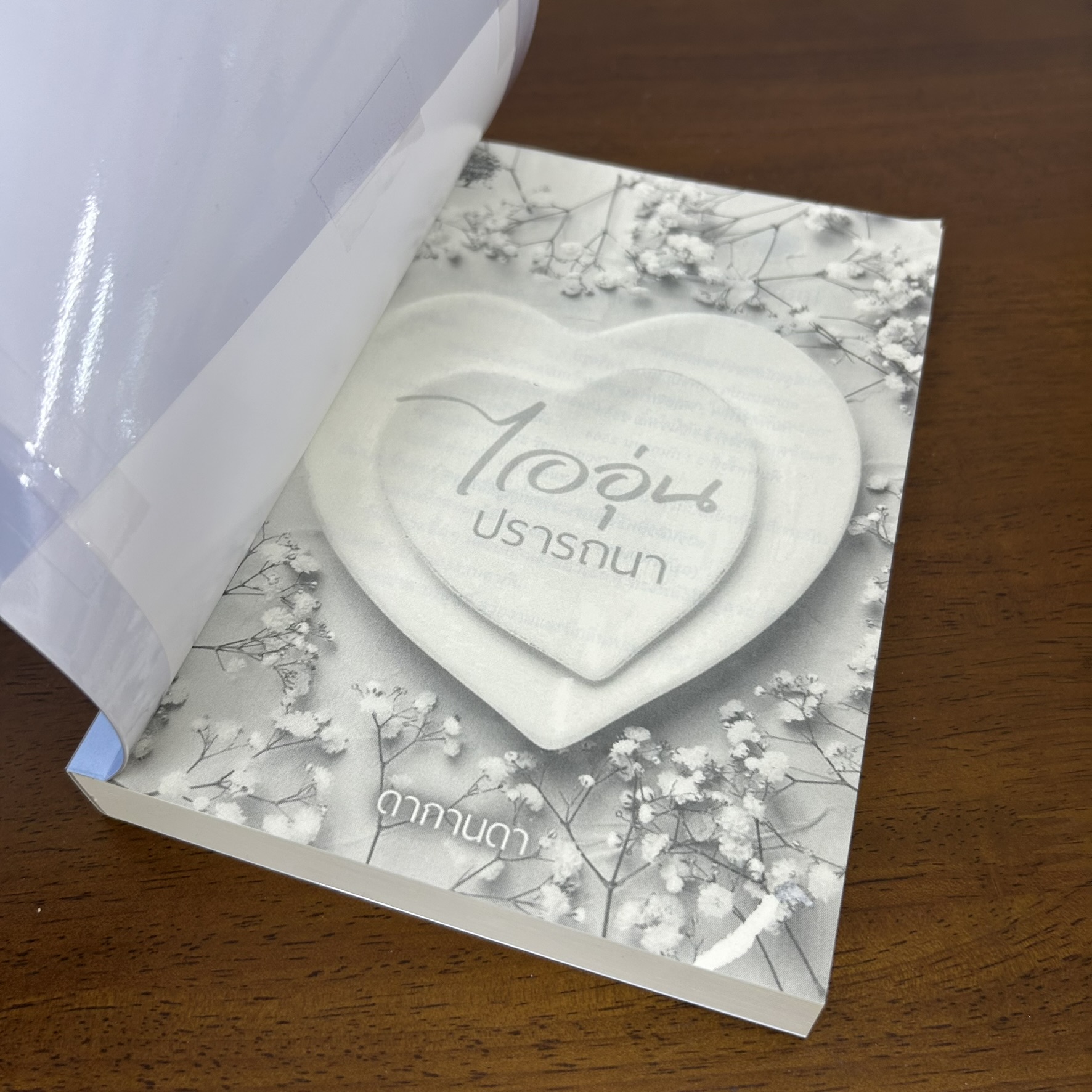 ไออุ่นปรารถนา ... ดากานดา (มือสอง) นิยาย โรมานซ์ ทำมือ