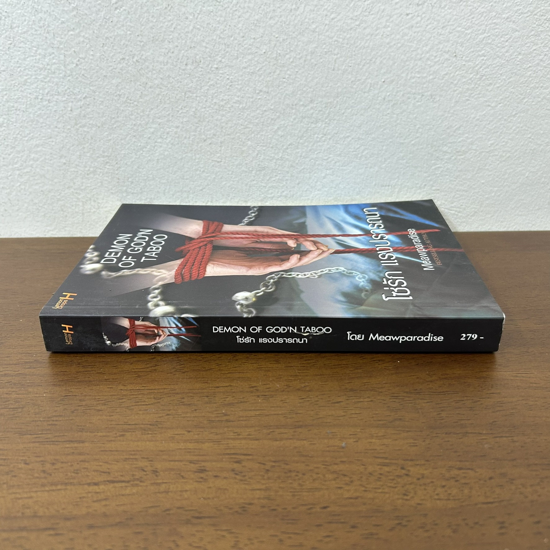 Demon of God'N Taboo โซ่รัก แรงปรารถนา ... Meawparadise (มือสอง) นิยาย โรมานซ์