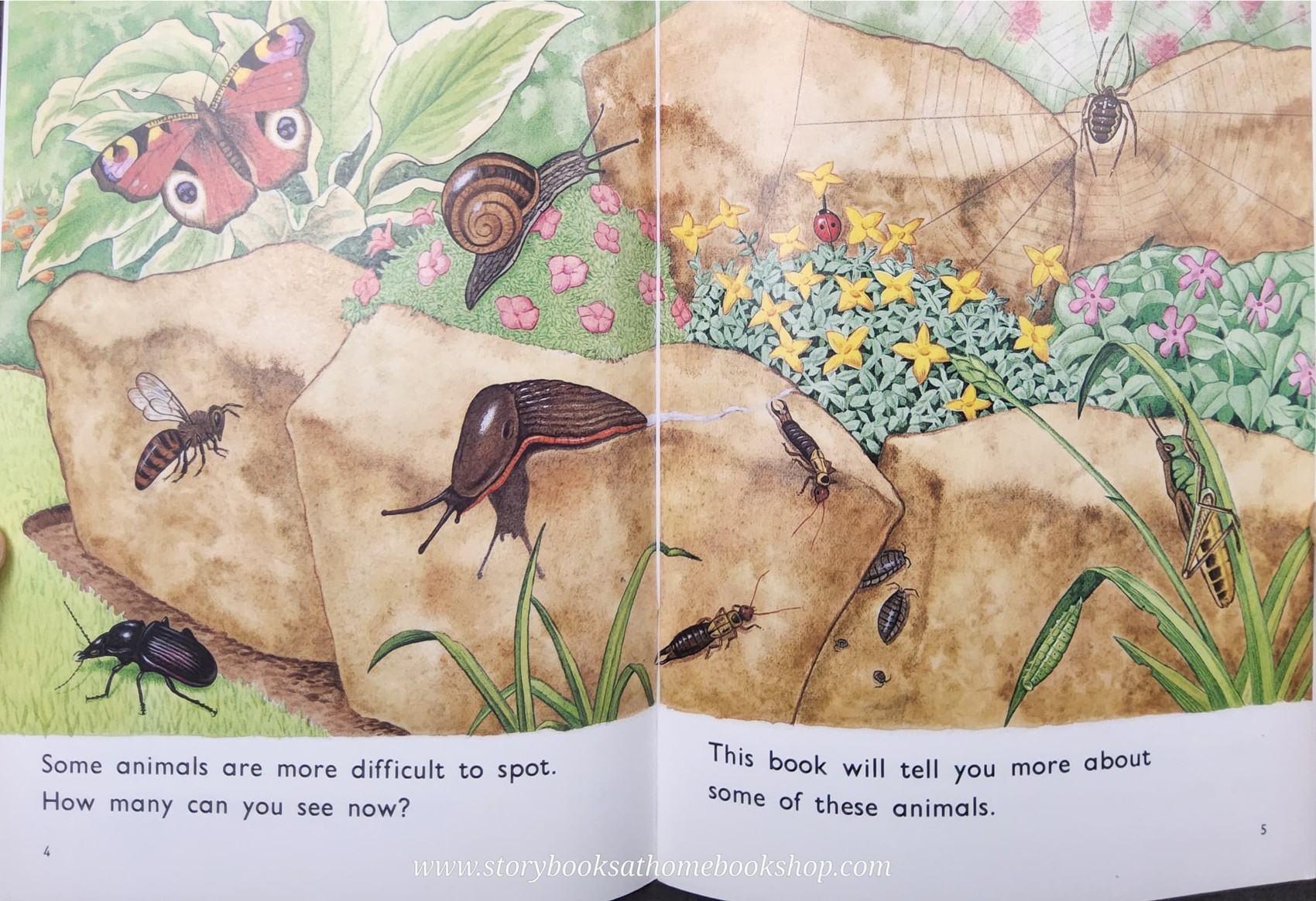 Knowledge Book** ð
ð
FUZZBUZZ FACTS: ANIMALS IN THE GARDEN LEVEL2