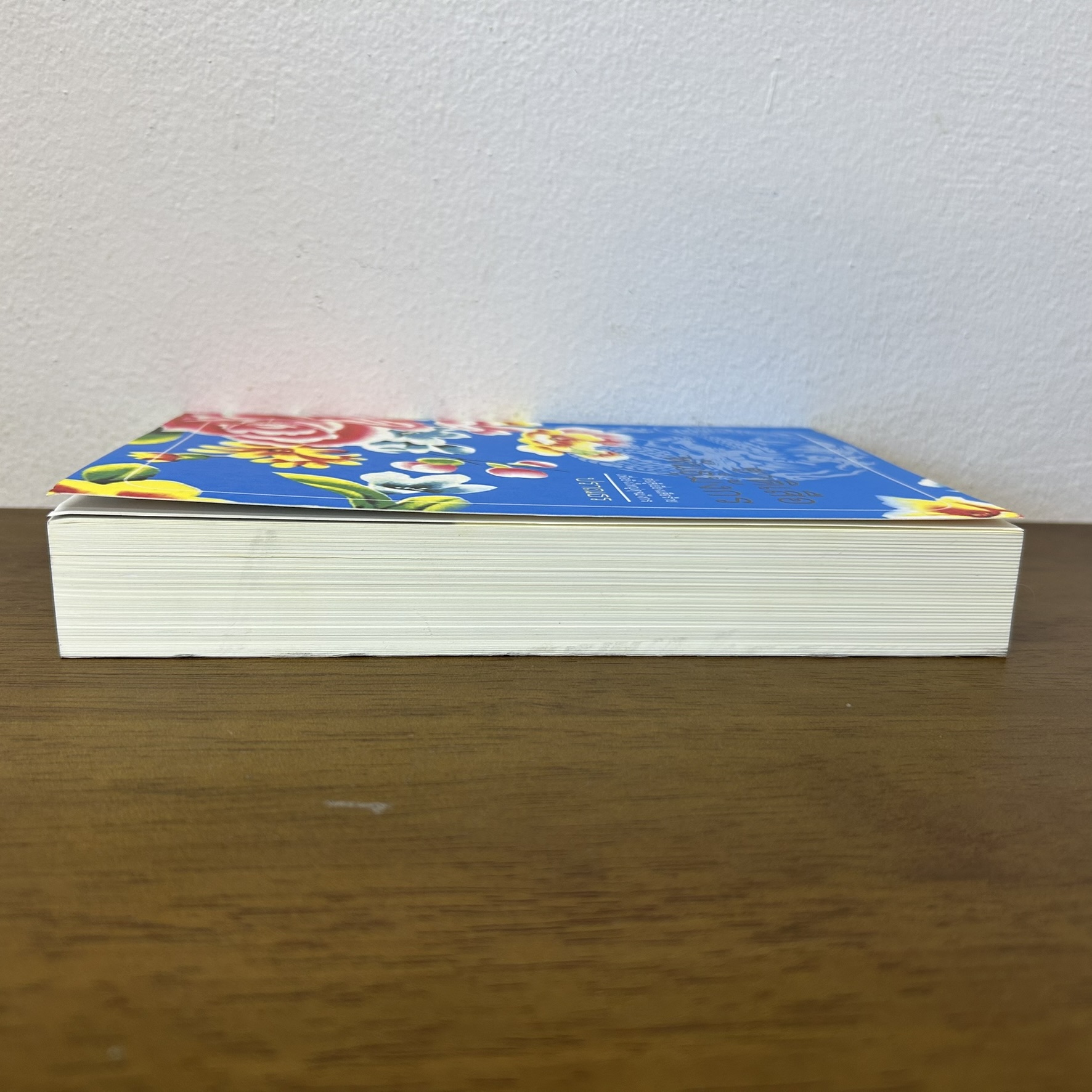 ชาติเสือพันธุ์มังกร ... ปราณธร (มือสอง) นิยาย โรแมนติก คำต่อคำ