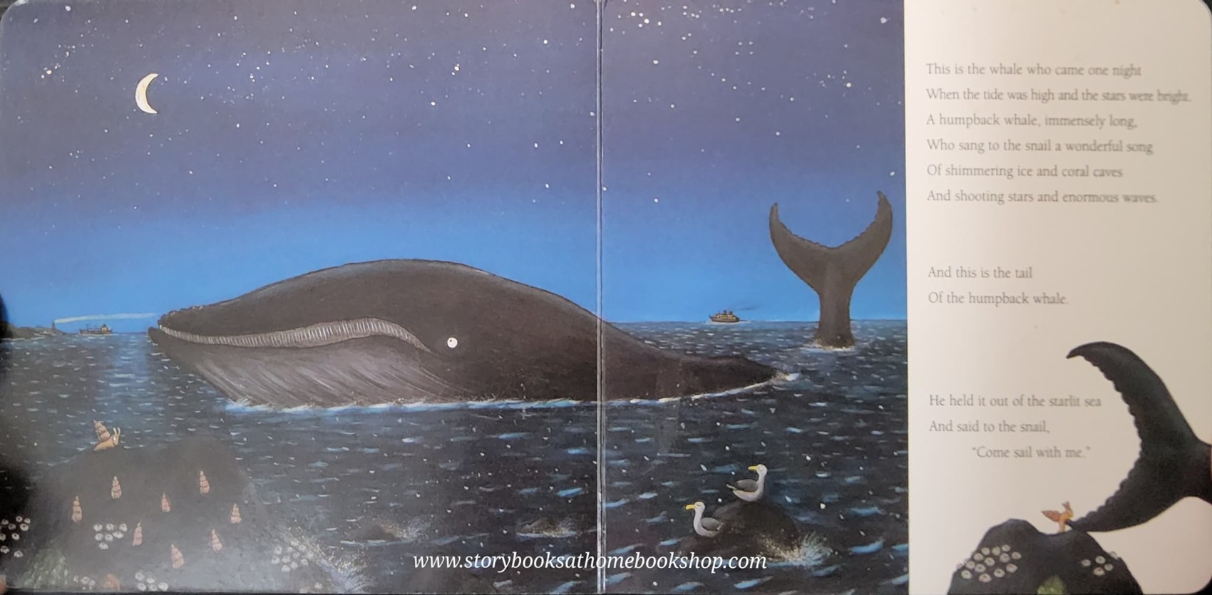 BOARD Book** 🍅THE SNAIL AND THE WHALE BY JULIA DONALDSON.AXEL SCHEFFLER