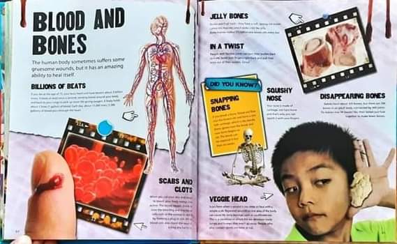 Knowledge Book** ð
ðGRUESOME AND FROSS FACTS over 1000 AMAZING FACTS