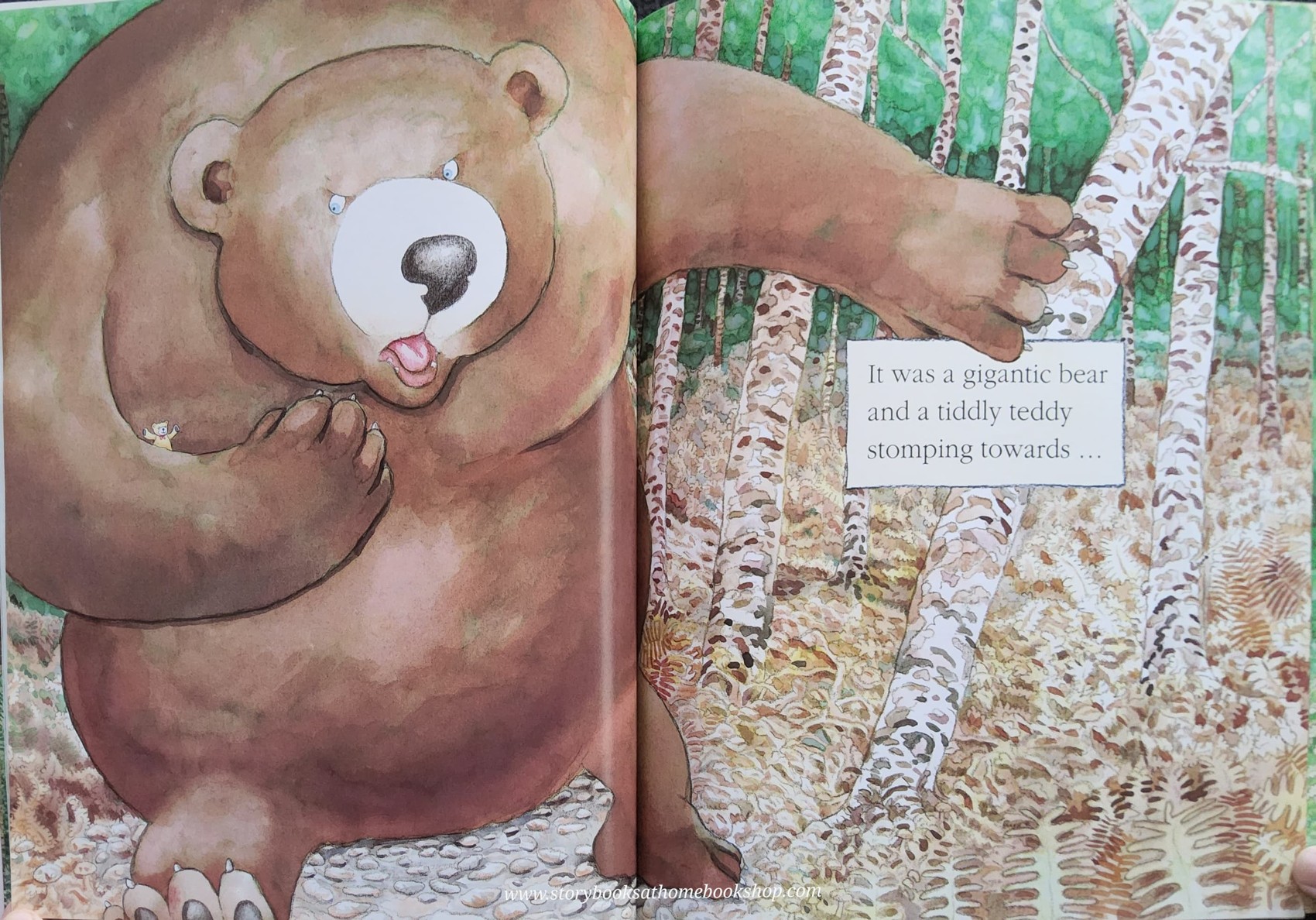 หนังสือนิทานปกอ่อน** 🍅🍓WHERE'S MY TEDDY? BY JEZ ALBOROUGH