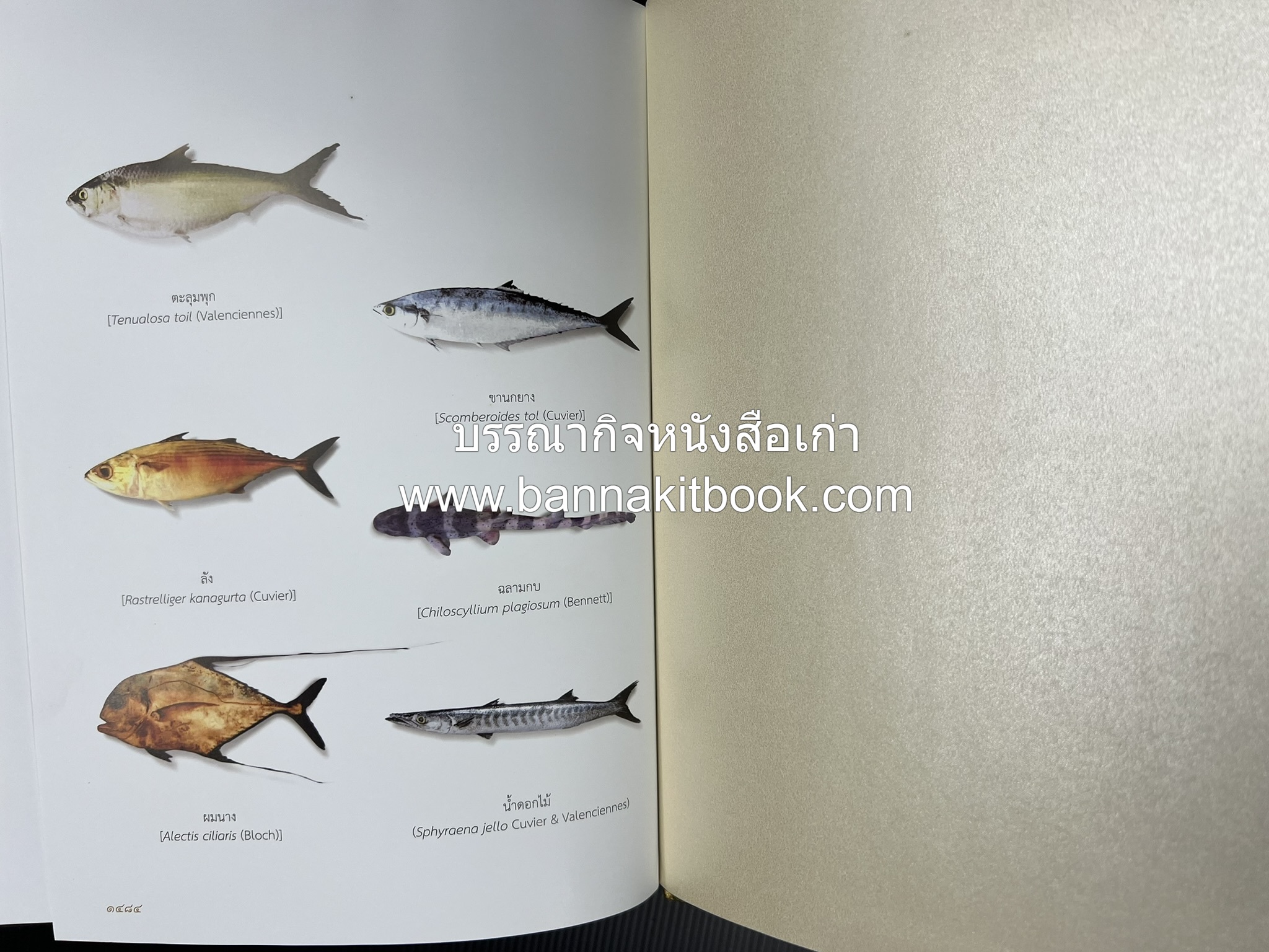 พจนานุกรม ฉบับราชบัณฑิตยสถาน พ.ศ. 2554 โดย : ราชบัณฑิตยสถาน.