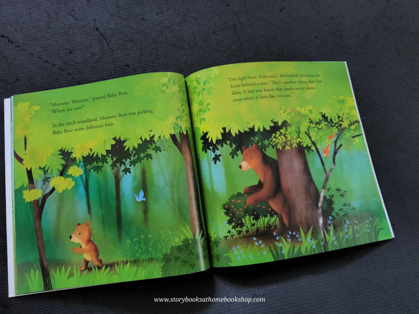 หนังสือนิทานปกอ่อน ** 🍅🍓MY LOVE IS ALL AROUND BY DANIELLE MCLEAN