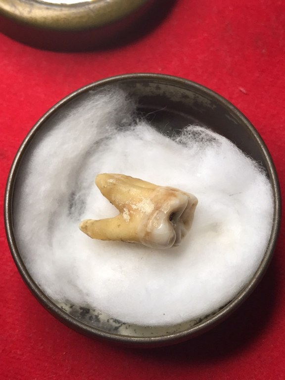 พระทันตธาตุครูบาตา ได้มาจากกำนันคำ กำนันคำได้พระทันตธาตุชุดนี้มาจากพ่ออุ้ยจัน พ่ออุ้ยจัน ท่านอยู่ อ.ดอยสะเก็ต ปัจจุบัน (พ.ศ.2566) ท่านเสียชีวิตแล้ว พ่ออุ้ยจัน ท่านเป็นศิษย์ครูบาตา วัดแม่ฮ้อนเงินเหนือ พ่ออุ้ยจัน เคยค้าขายข้าวด้วยกันกับกำนันคำ