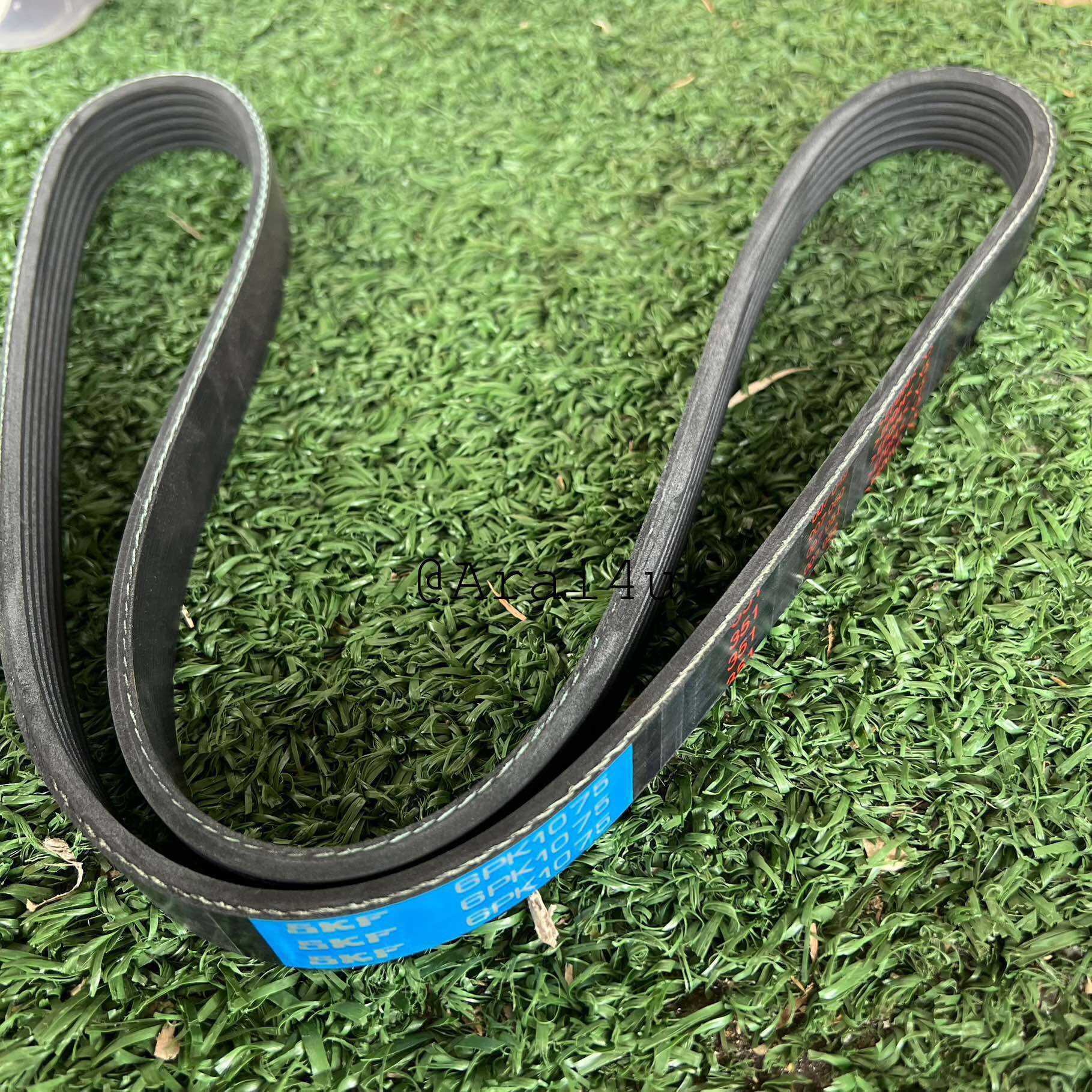 SKF สายพานหน้าเครื่อง NISSAN TEANA J31 2004 เครื่อง 2.3CC 6PK 1075 VQ23DE V6 24V