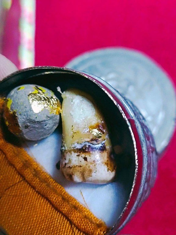 พระทันตธาตุ ครูบาสิทธิ วัดปางต้นเดื่อ อ.แม่อาย จ.เชียงใหม่ เจ้าของเดิมชื่อคุณบอม เคยเป็นเภสัชโรงพยาบาลสันทราย จ.เชียงใหม่ ปัจจุบันอายุ 47 ปี (บันทึก พ.ศ.2566) เคยเป็นศิษย์และนับถือครูบาสิทธิตั้งแต่ปี 2549 - 2555 จนครูบาสิทธิท่านมรณภาพ