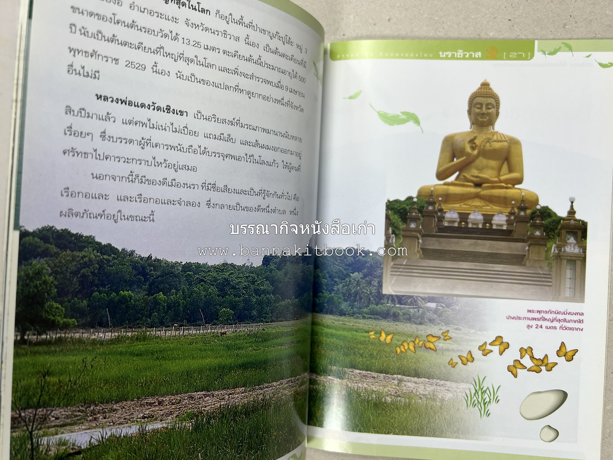 นราธิวาส สารคดีชุดถิ่นทองของไทย โดย : สมัย สุทธิธรรม.