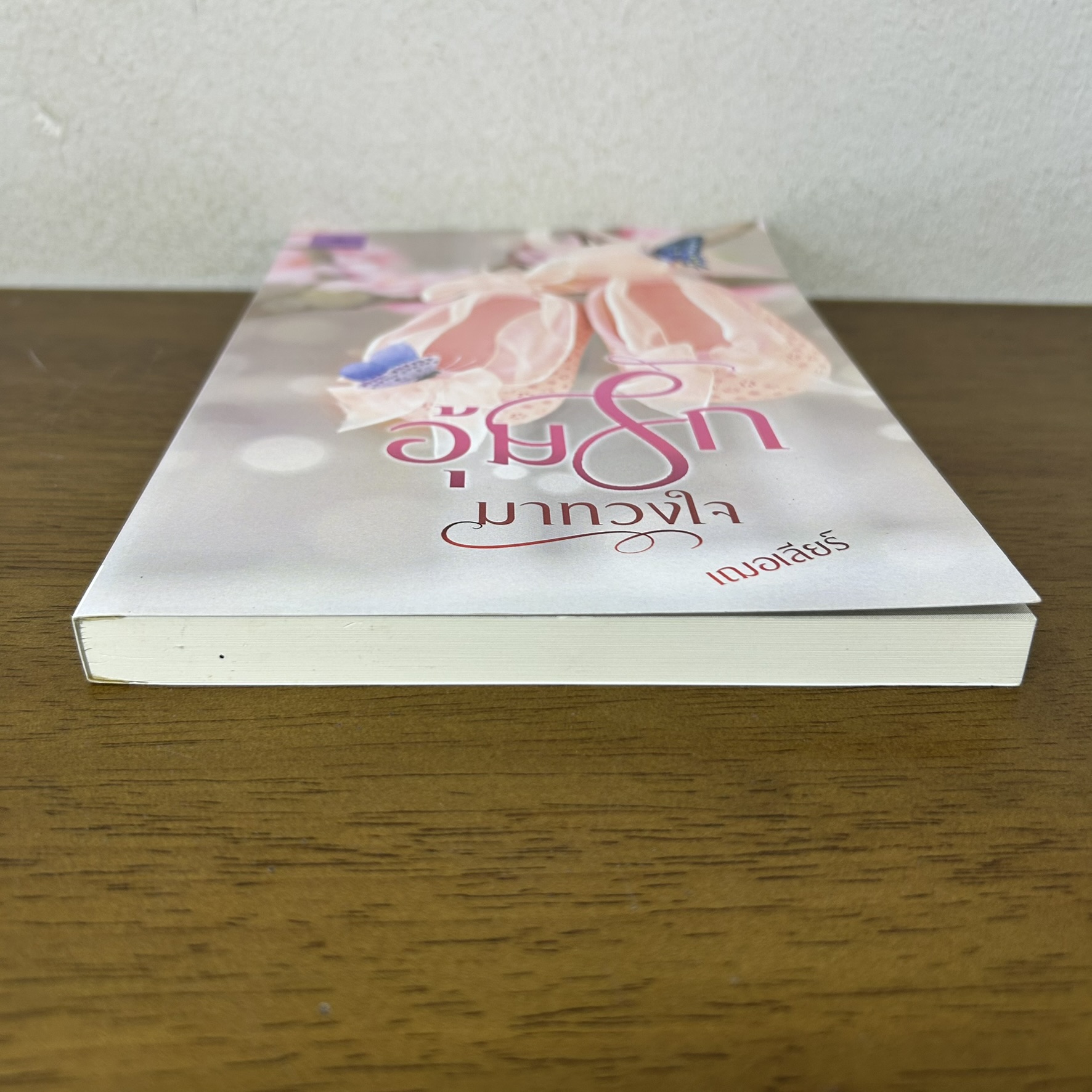 อุ้มรักมาทวงใจ ... เฌอเลียร์ (มือสอง) นิยาย โรมานซ์ ทำมือ