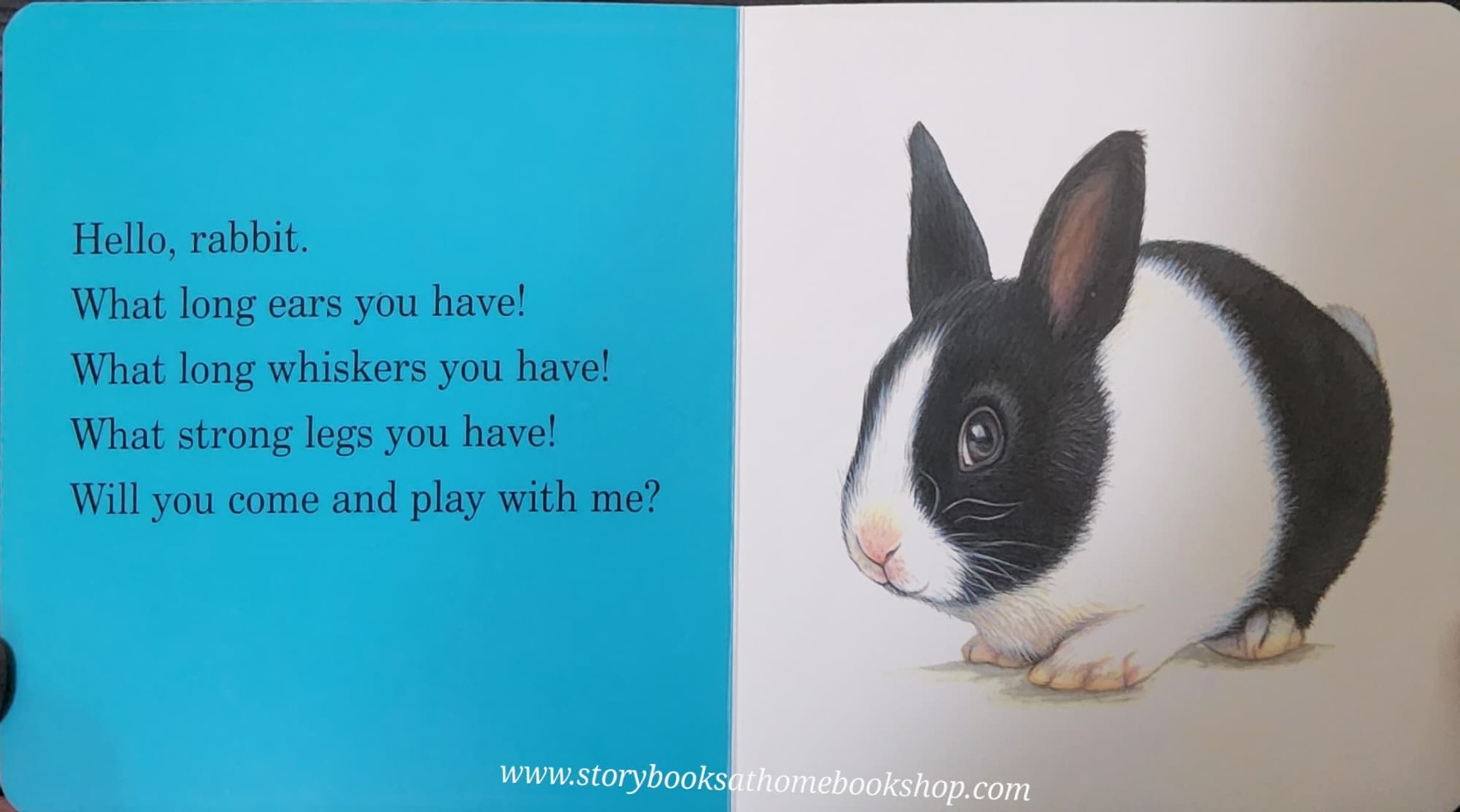 BOARD BOOK** 🍅🍓THE LITTLE HAMSTER