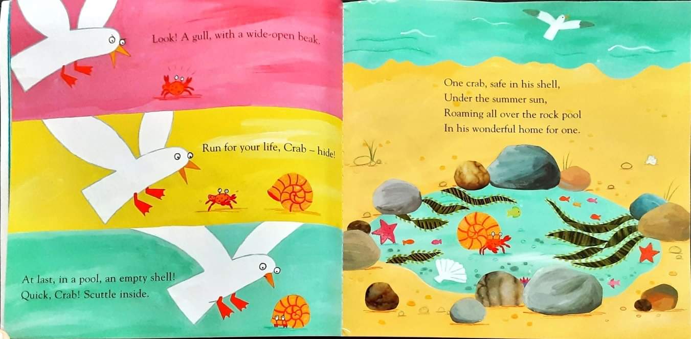 *หนังสือนิทานปกอ่อน ** 🍅🍓 THE SHARING A SHELL BY JULIA DONALDSON.LYDIA MONKS