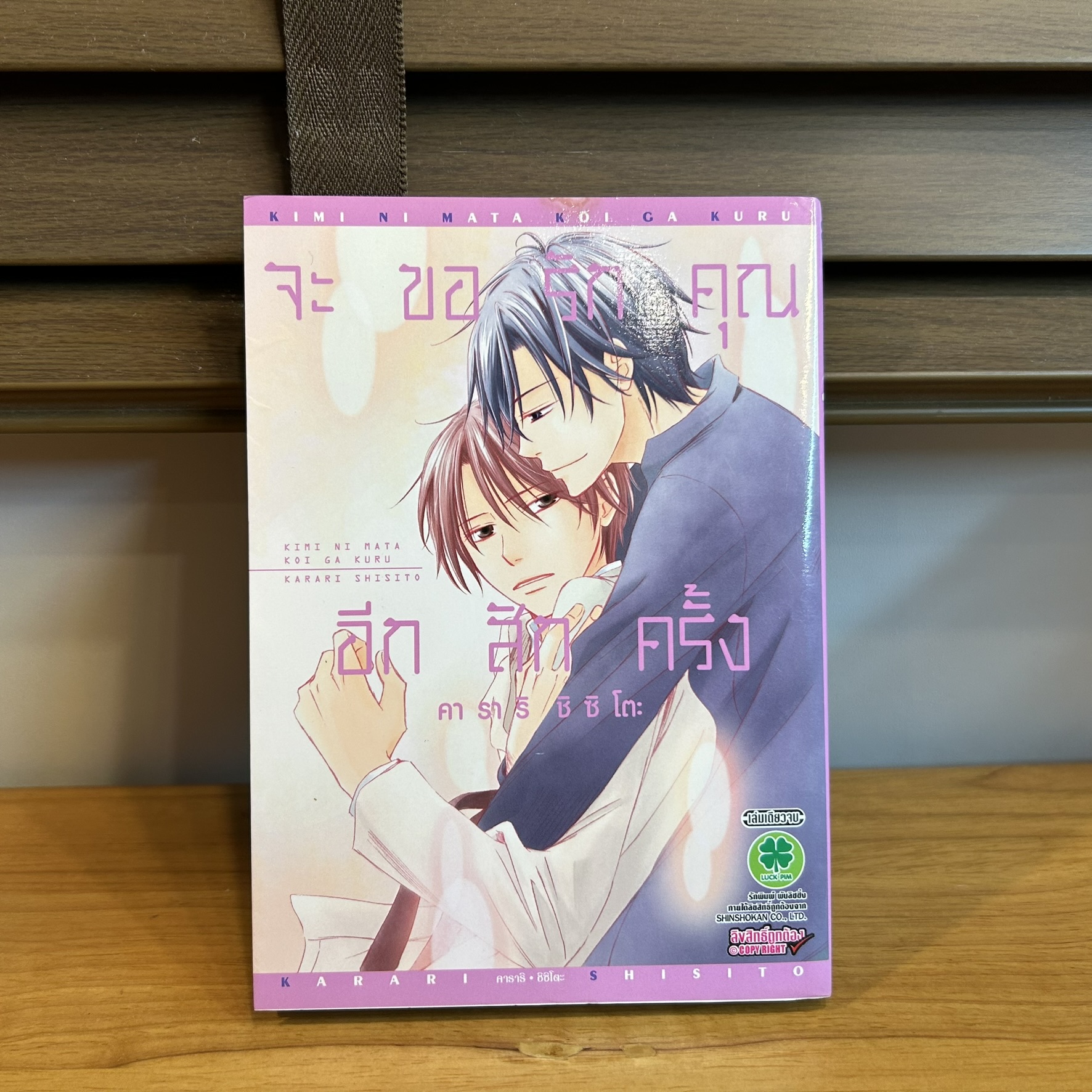 [MANGA] จะขอรักคุณอีกสักครั้ง เล่มเดียวจบ (มือสอง) คาราริ ชิซิโตะ
