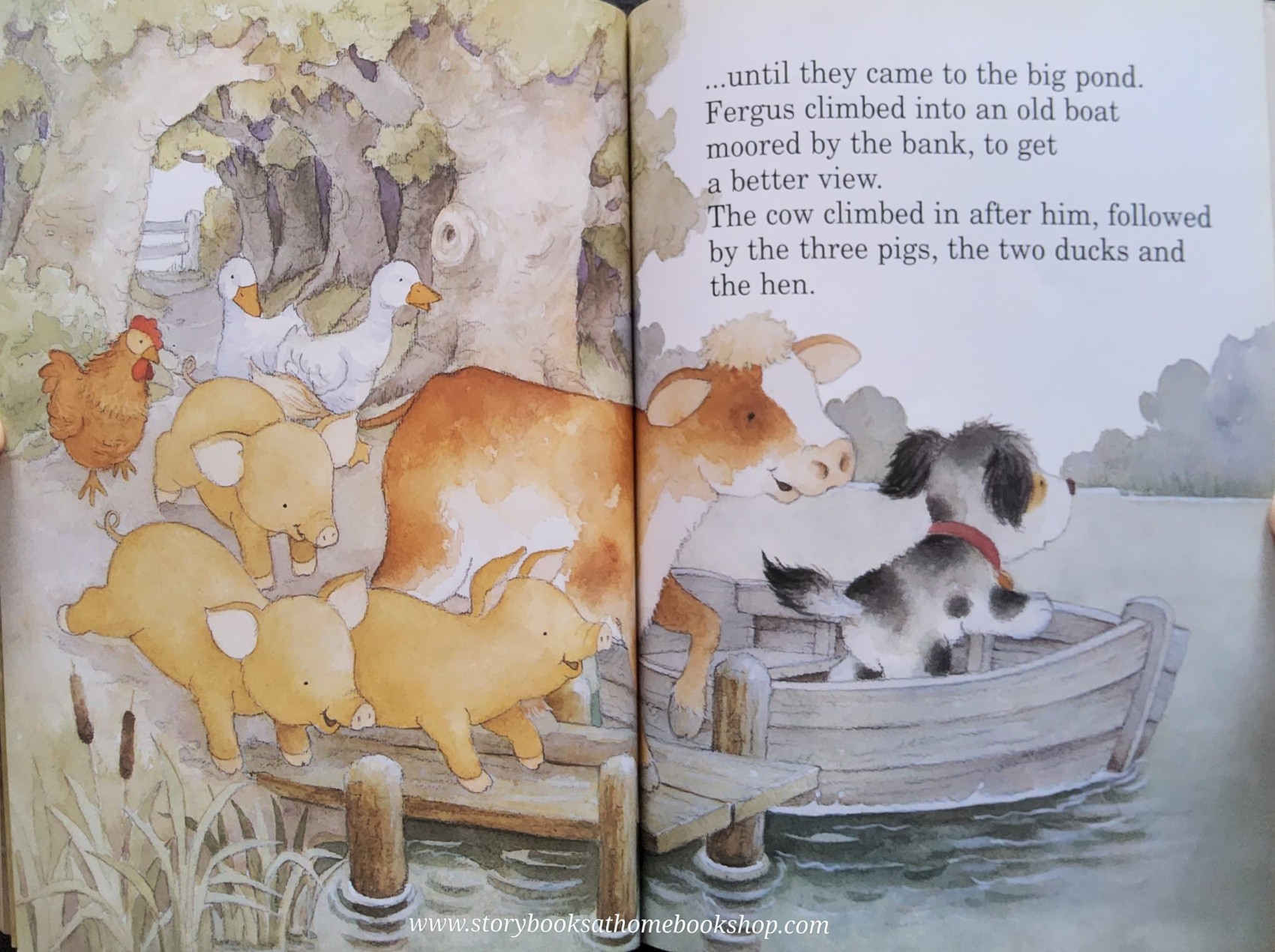 หนังสือนิทานปกอ่อน ** 🍅🍓 FERGUS'S BIG SPLASH