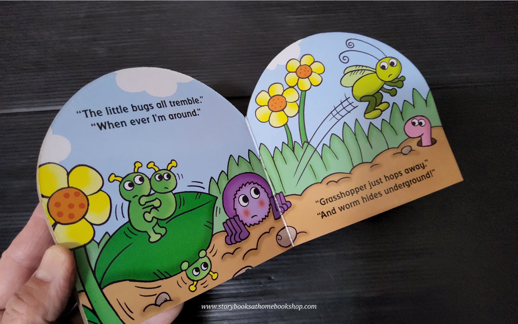 BOARD BOOK** 🍅🍓BUG BOOKS SPIKE THE SPIDER