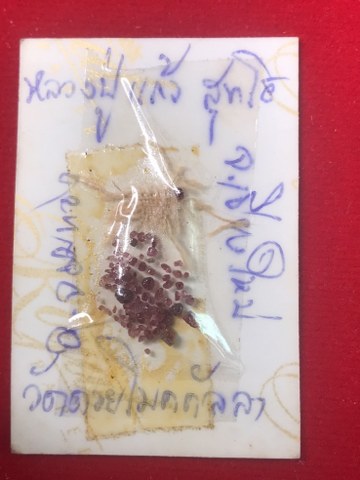 ๑. พระทัตธาตุ ครูบาแก้ว สุทโธ ๒.รูปถ่ายด้านหลังติดจีวร ๓. ล็อกเกตรุ่นแรก ปี ๑๘ ๔. เม็ดประคำจำนวน ๑ เม็ด ๕. รูปถ่ายด้านหลังติดพลอยคำ และ ๖.รูปหล่อรุ่น ๑ ของหลวงปู่แก้ว สุทโธ วัดดอยโมคลาน จ.เชียงใหม่