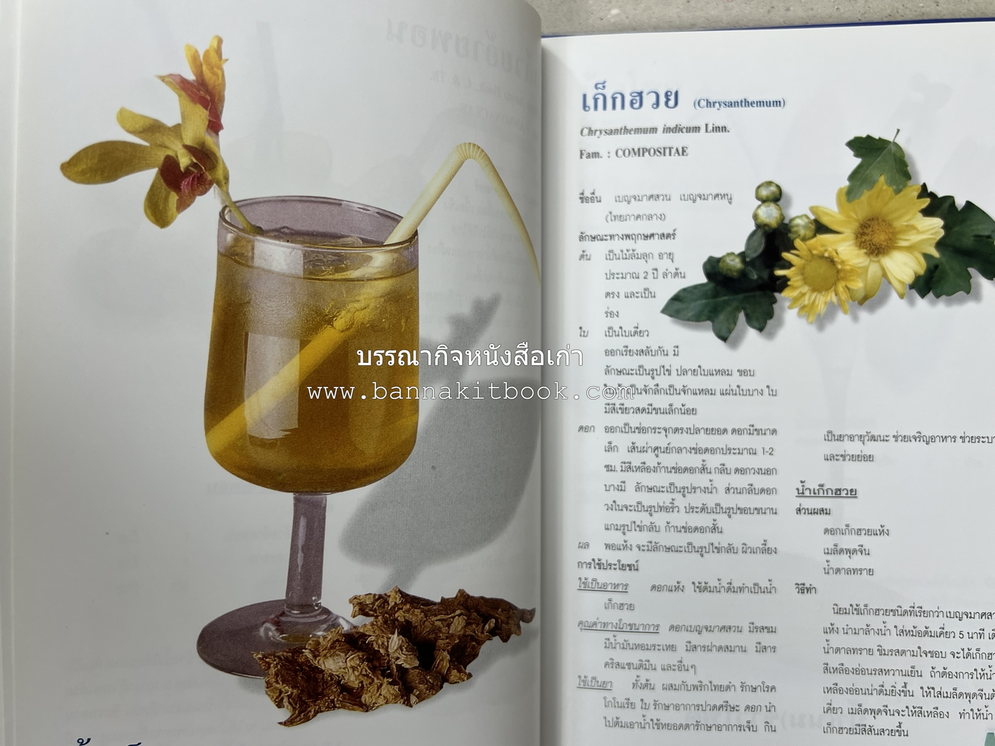 น้ำสมุนไพร 108 สูตร-วิธีทำจากผักพื้นบ้านและผลไม้ไทย โดย สถาบันการแพทย์แผนไทย.