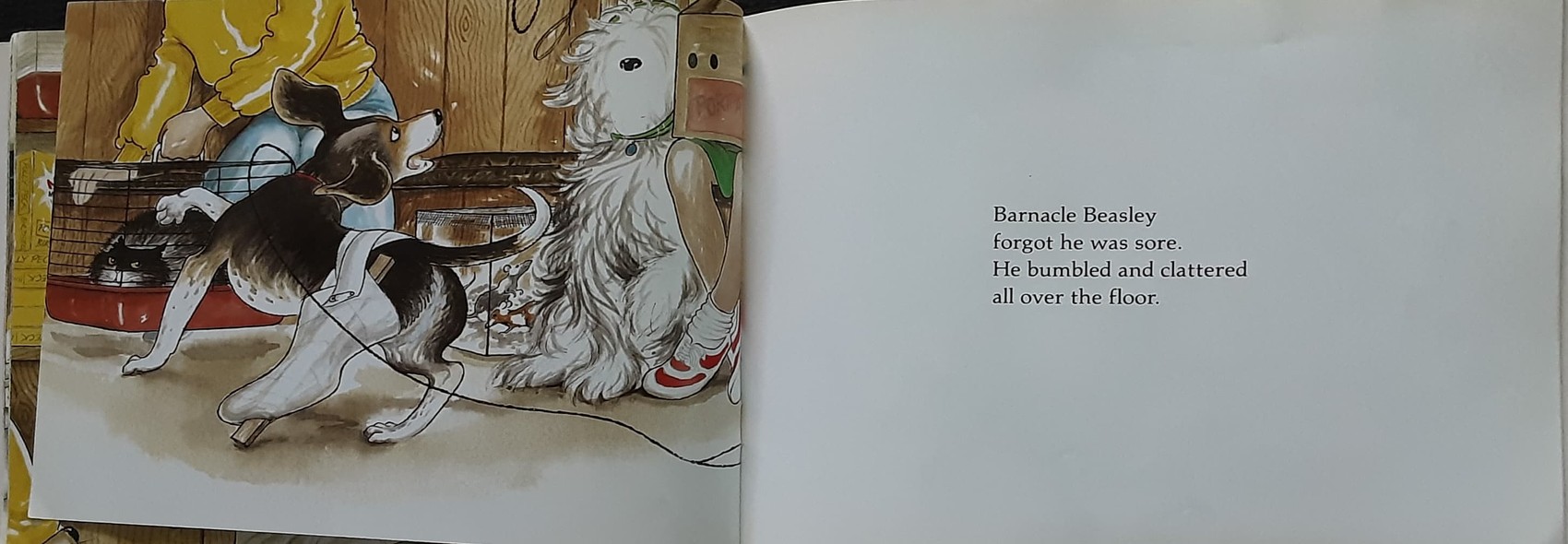 หนังสือนิทานปกอ่อน 🍅🍓Hairy Maclary's Rumpus at the VET by Lynley Dodd