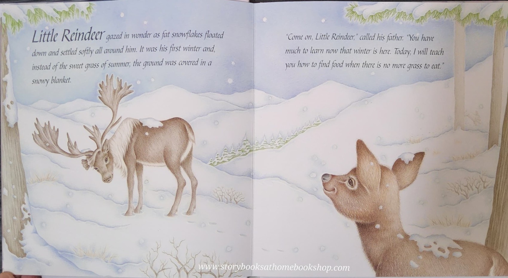 หนังสือนิทานปกแข็ง** 🍅🍓THE LITTLE REINDEER