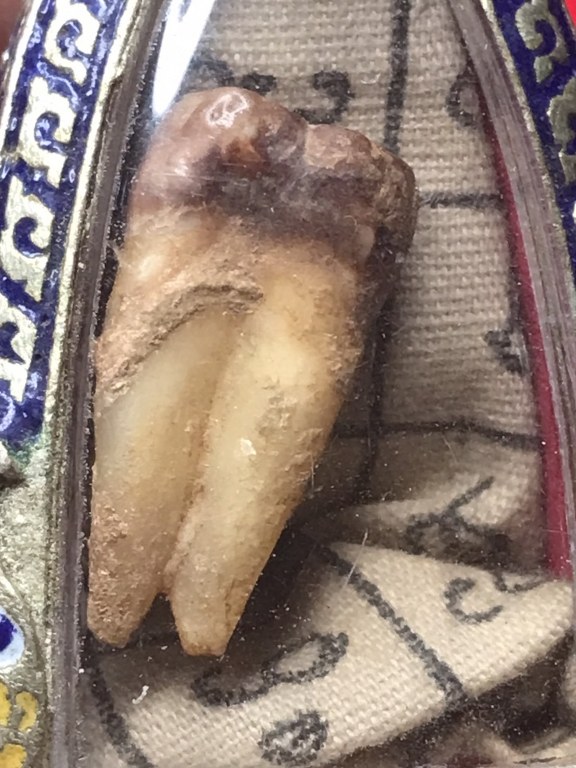 พระทันตธาตุ และผ้ายันต์ ครูบาตั๋น วัดป่าลาน ต.ทุ่งต้อม อ.สัยป่าตอง จ.เชียงใหม่ ชุดนี้ได้มาจากพ่ออุ๋นหนานลอง อายุ 82 ปี อยู่บ้านทองทิพย์ อ.สันป่าตอง จ.เชียงใหม่ พ่ออ๋อยหนานลอง เก็บสะสมวัตถุมงคลครูบาตั๋น และเคยเป็นศิษย์ฆาราวาสของครูบาตั๋น