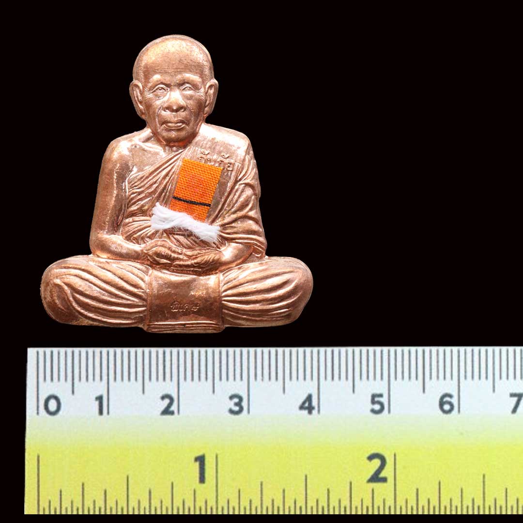 เหรียญกันภัย หลวงปู่แผ้ว วัดรางหมัน อายุ 98 ปี พ.ศ. 2563