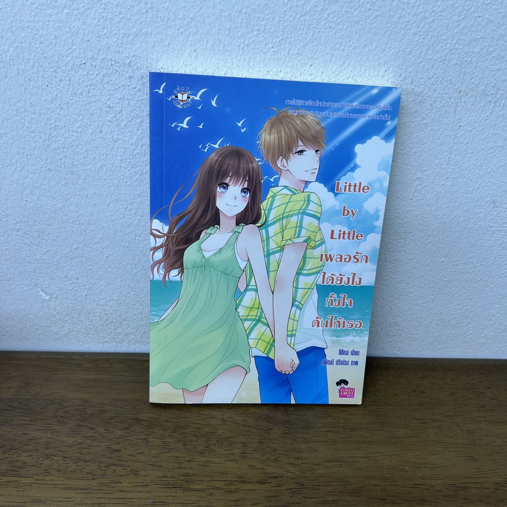 Little by Little เผลอรักได้ยังไง ทั้งใจดันให้เธอ ... Mina (มือสอง) นิยาย แจ่มใส เลิฟซีรีส์