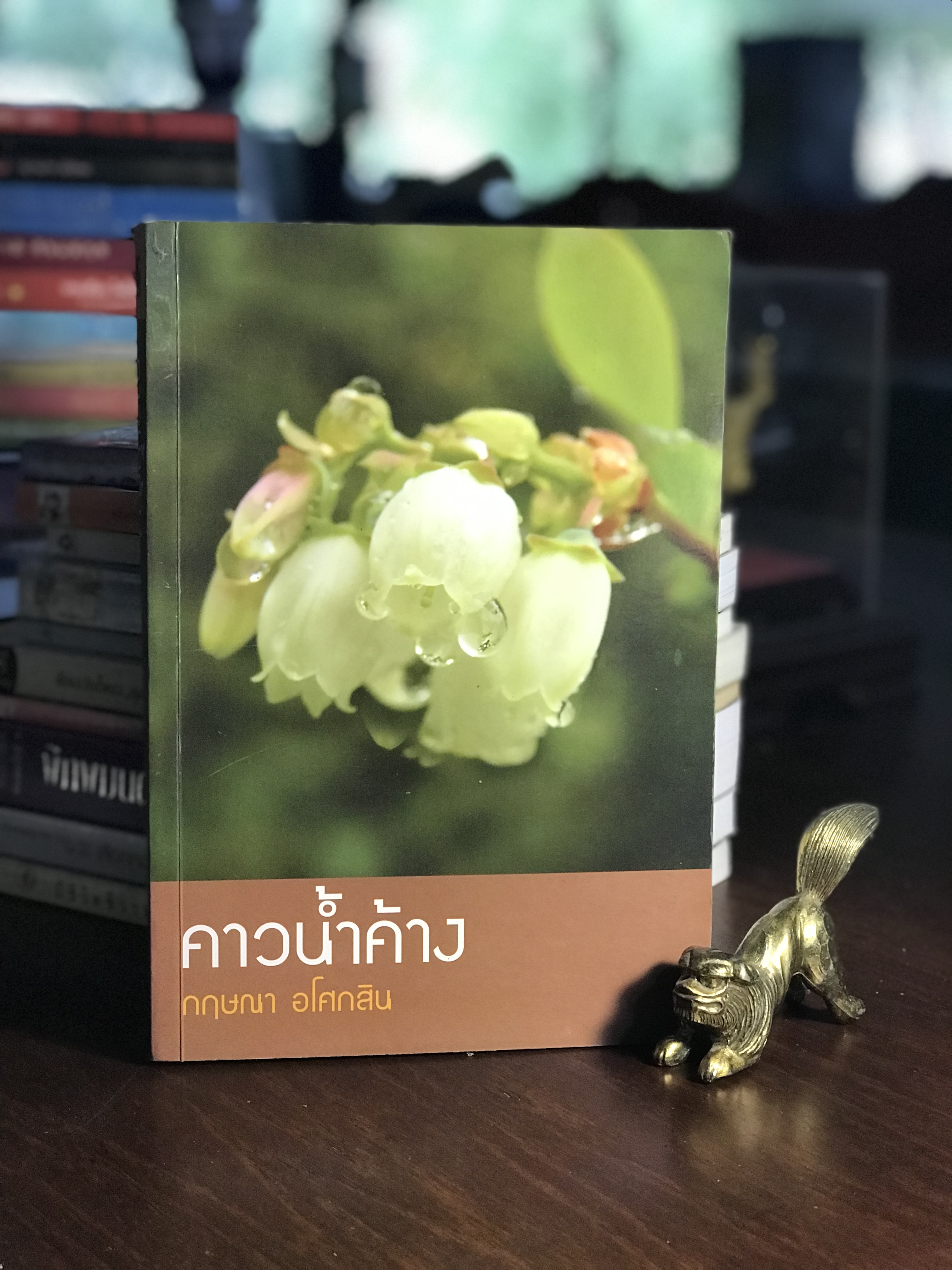 คาวน้ำค้าง ผู้เขียน กฤษณา อโศกสิน สำนักพิมพ์ แสงดาว H1