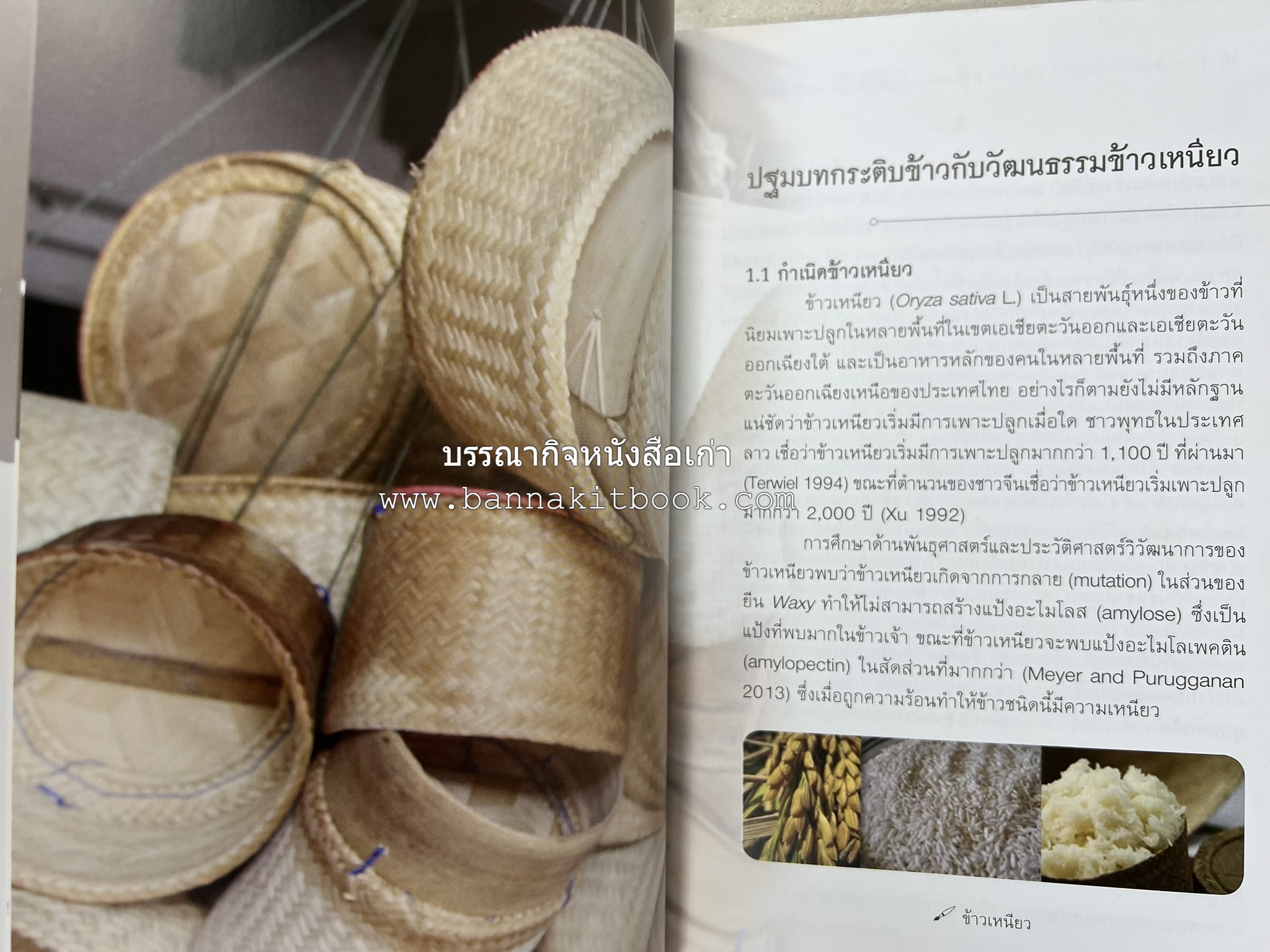 กระติบข้าว : ภูมิปัญญา วัฒนธรรม ความหลากหลาย และอรรถศาสตร์ชาติพันธุ์ โดย : รศ.ดร.ไพโรจน์ ประมวล มหาวิทยาลัยมหาสารคาม.