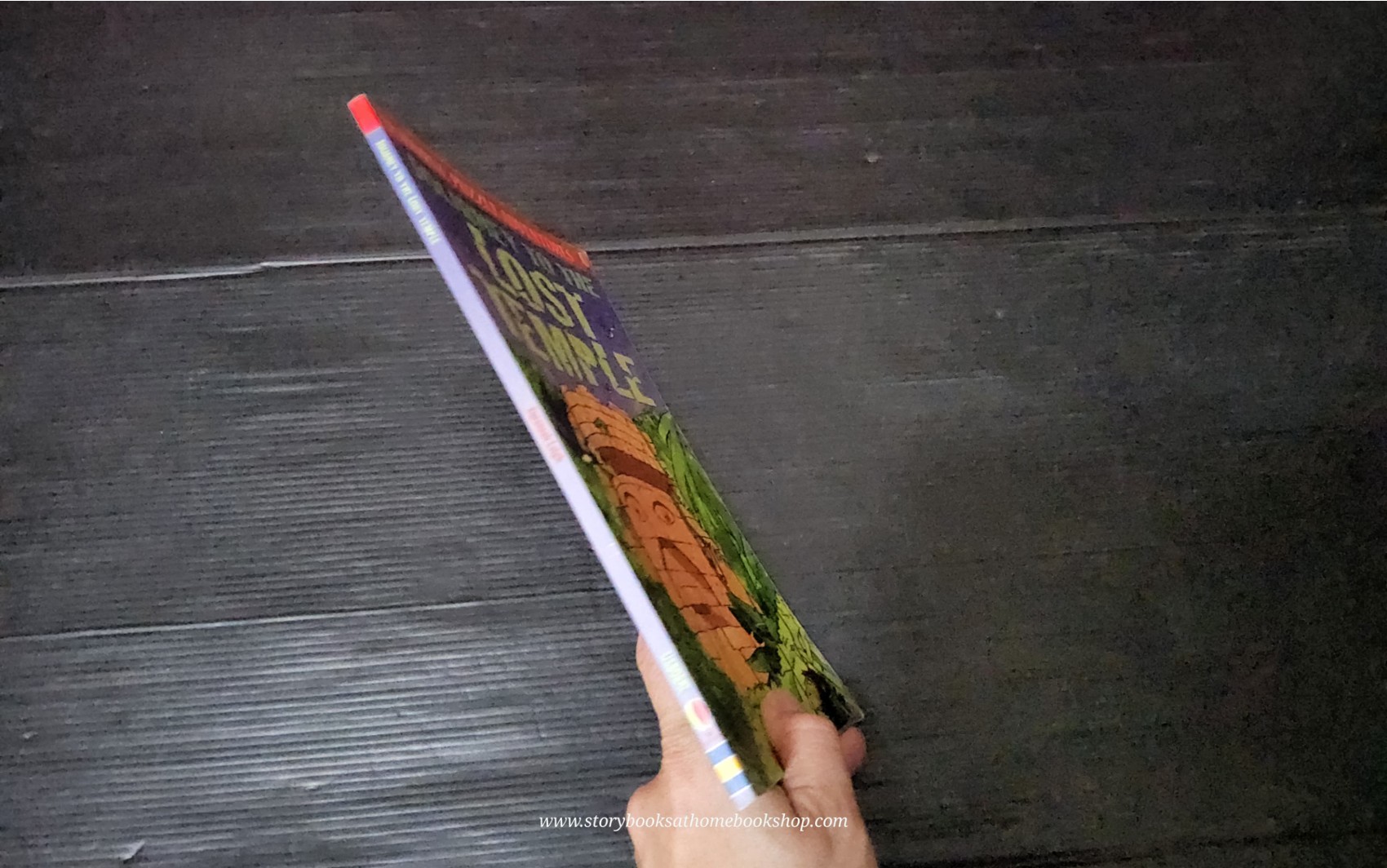 PUZZLE BOOK** ♥️USBORNE PUZZLE ADVENTURES:JOURNEY TO THE LOST TEMPLE BY SUSANNAH LEIGH