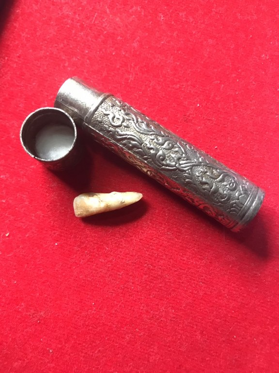 พระทันตธาตุ หลวงพ่อทวีป วัดจันทาราม จ.กำแพงเพชร ได้มาจากคุณวินัย อดีตนายอำเภอ หลายพื้นที่ คุณวินัย ได้รับพระทันตธาตุมาจากเพื่อนของท่านชื่อคุณ ประวิทย์ เคยรับราชการ จ.เแพร่ คุณประวิทย์เป็นศิษย์หลวงพ่อทวีป และมอบแบ่งปันพระทันตธาตุให้คุณวินัยบูชา