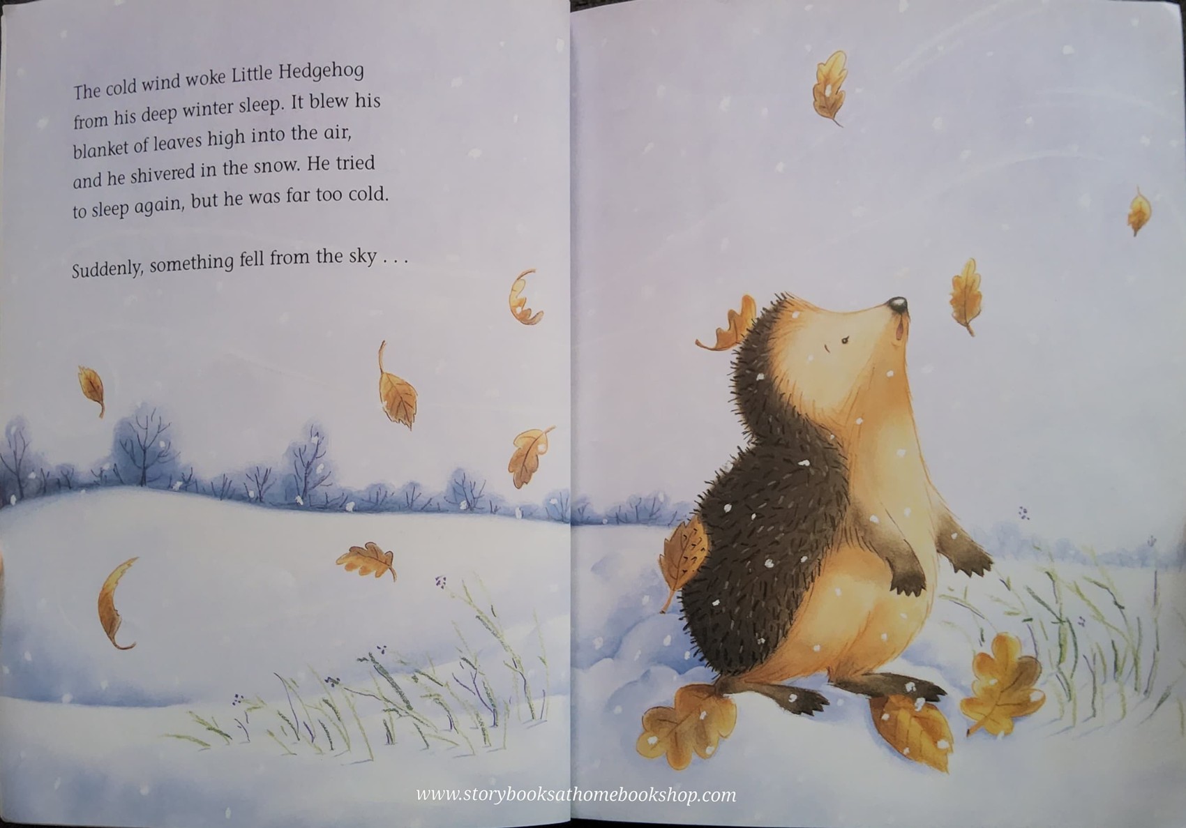 หนังสือนิทานปกอ่อน TOUCH AND FEEL** 🍅🍓ONE SNOWY NIGHT