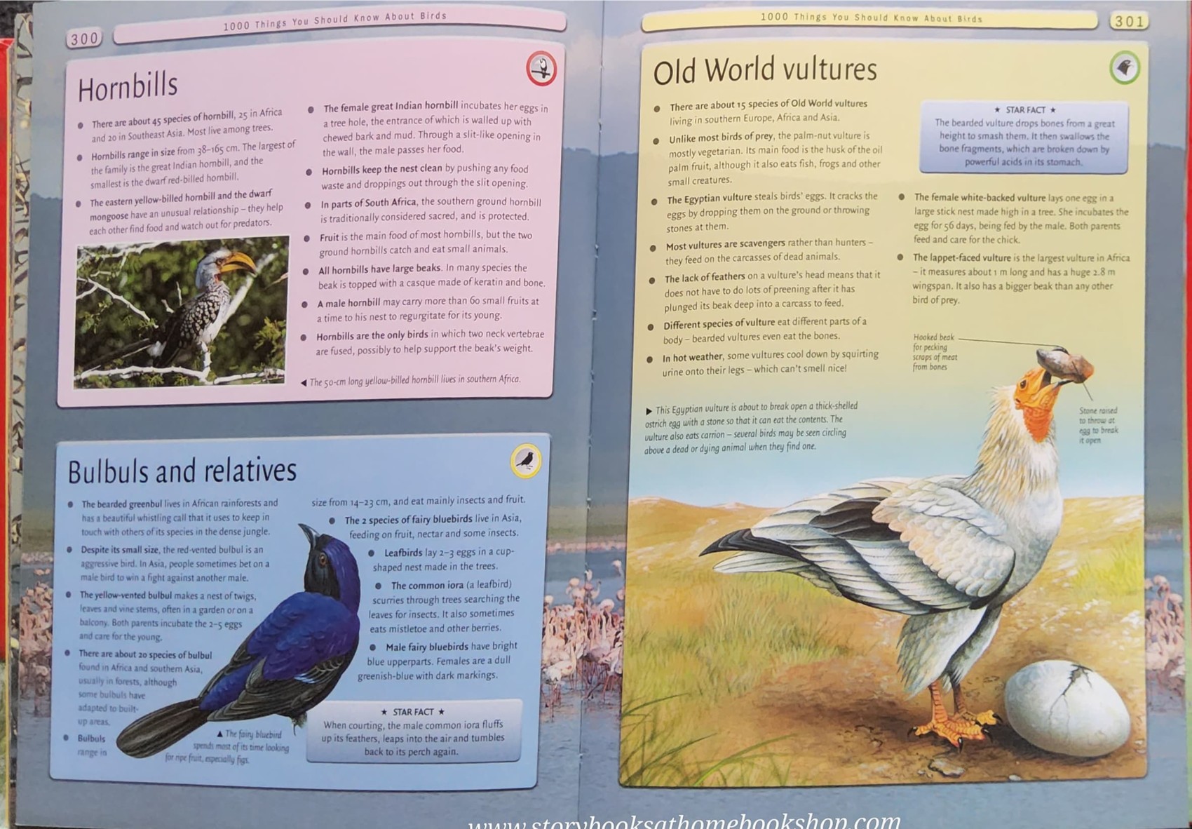 KNOWLEDGE BOOK** ♥️8000 AWESOME THINGS YOU SHOULD KNOW