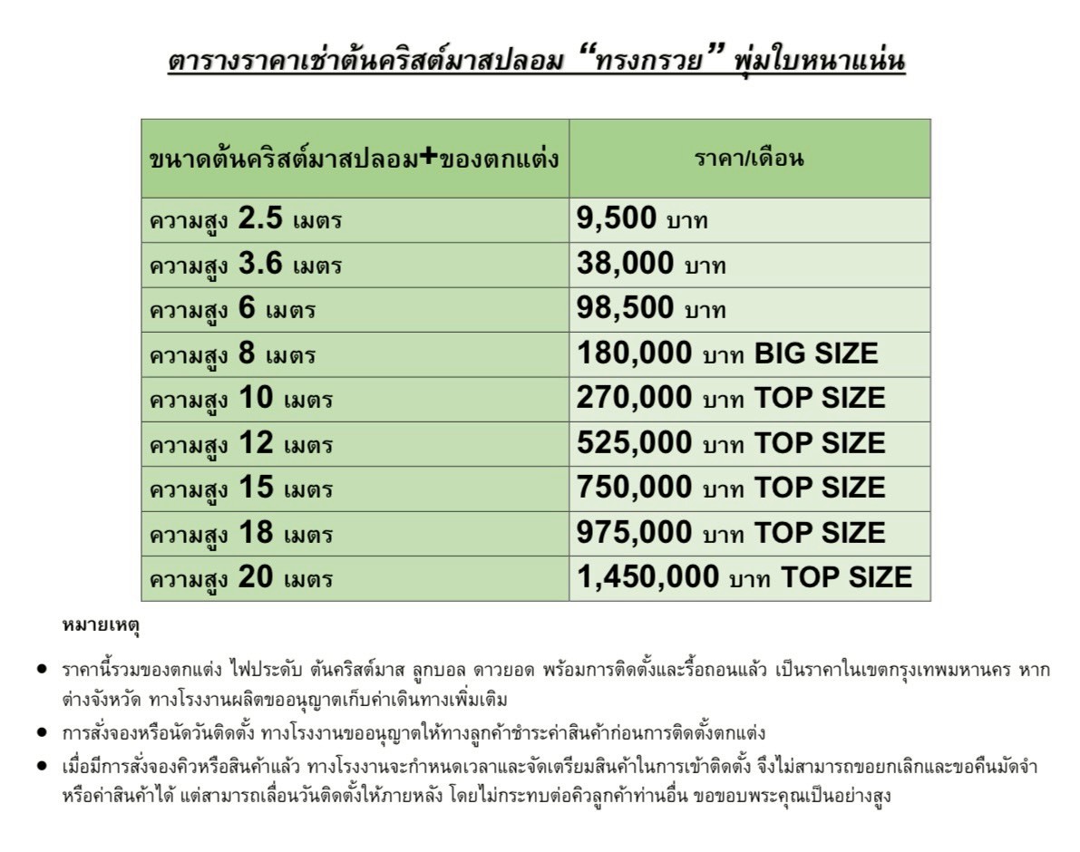 ตารางราคาเช่าต้นคริสต์มาสทรงกรวย พุ่มใบหนาแน่น ในแต่ละขนาด