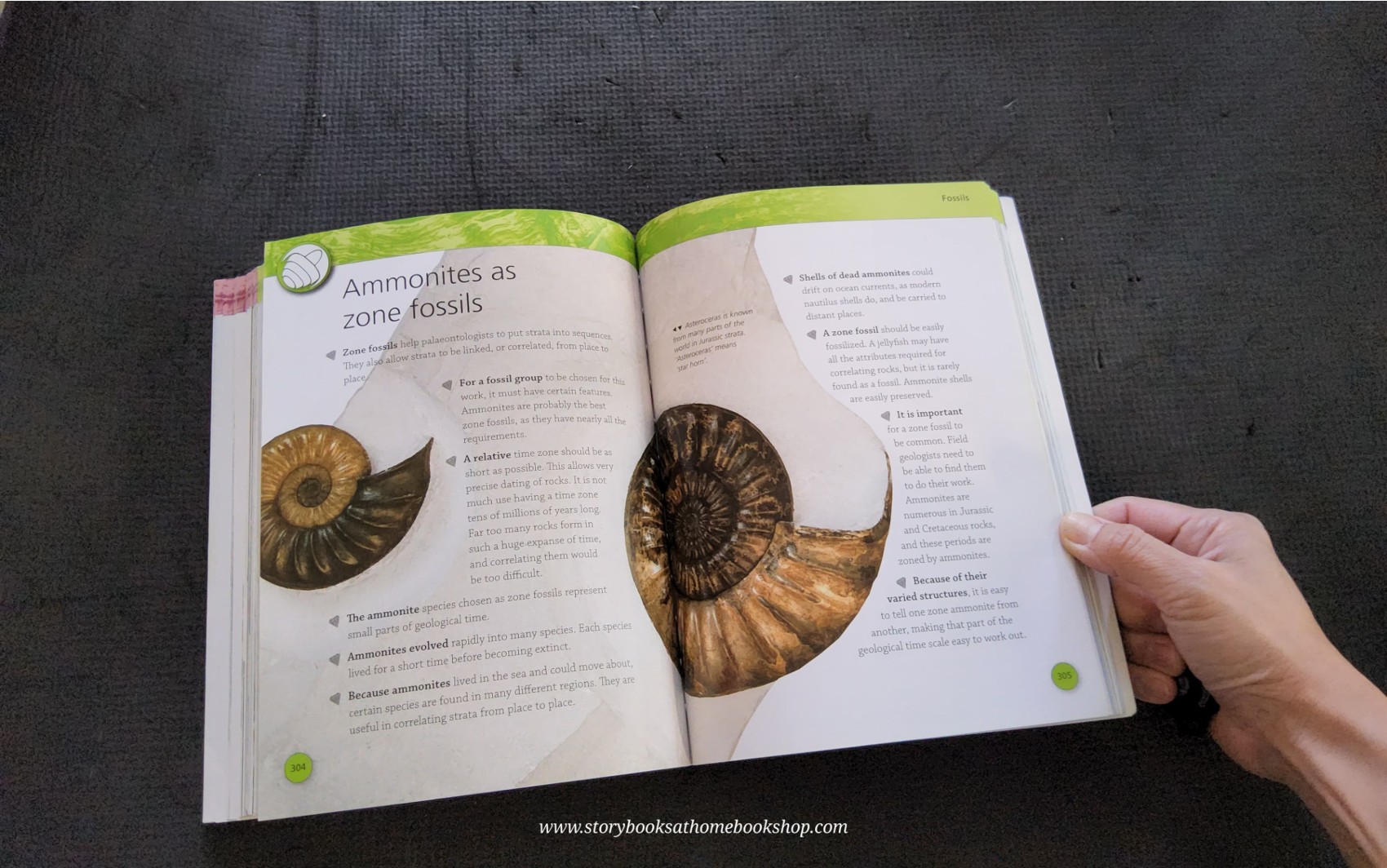 KNOWLEDGE BOOK** ♥️ROCK&FOSSILS DISCOVER THE WORLD BENEATH YOUR FEET