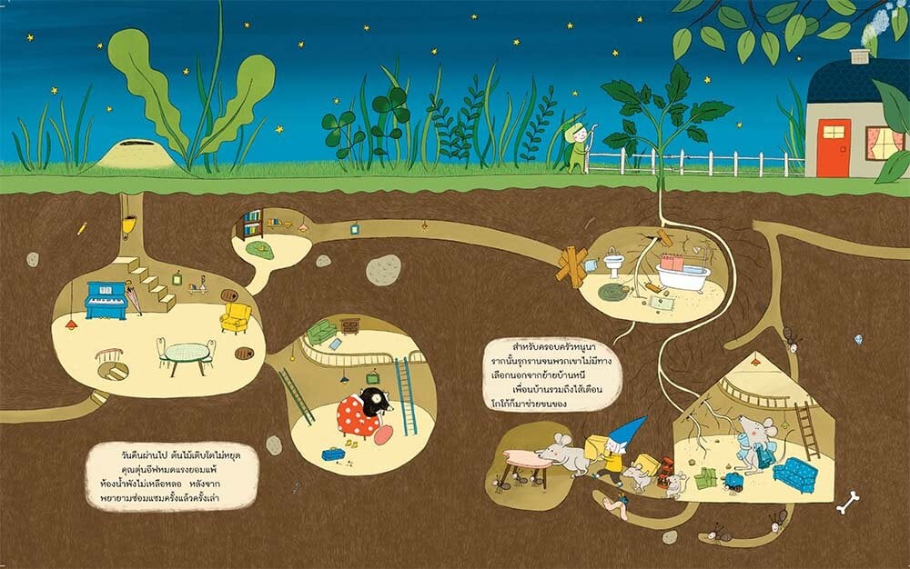 (หนังสือใหม่) เมล็ดประหลาดในสวนของจาโก้ (ปกแข็ง) คำนิยมโดยนายแพทย์ประเสริฐ ผลิตผลการพิมพ์