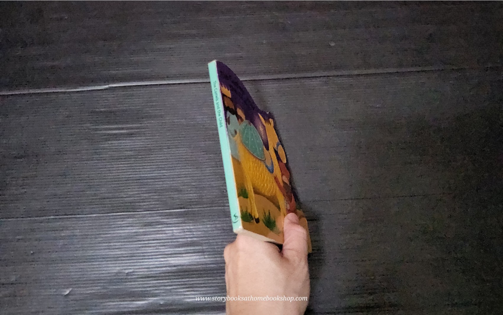 BOARD BOOK** 🍅🍅THE CAMELS AND THE CHILD