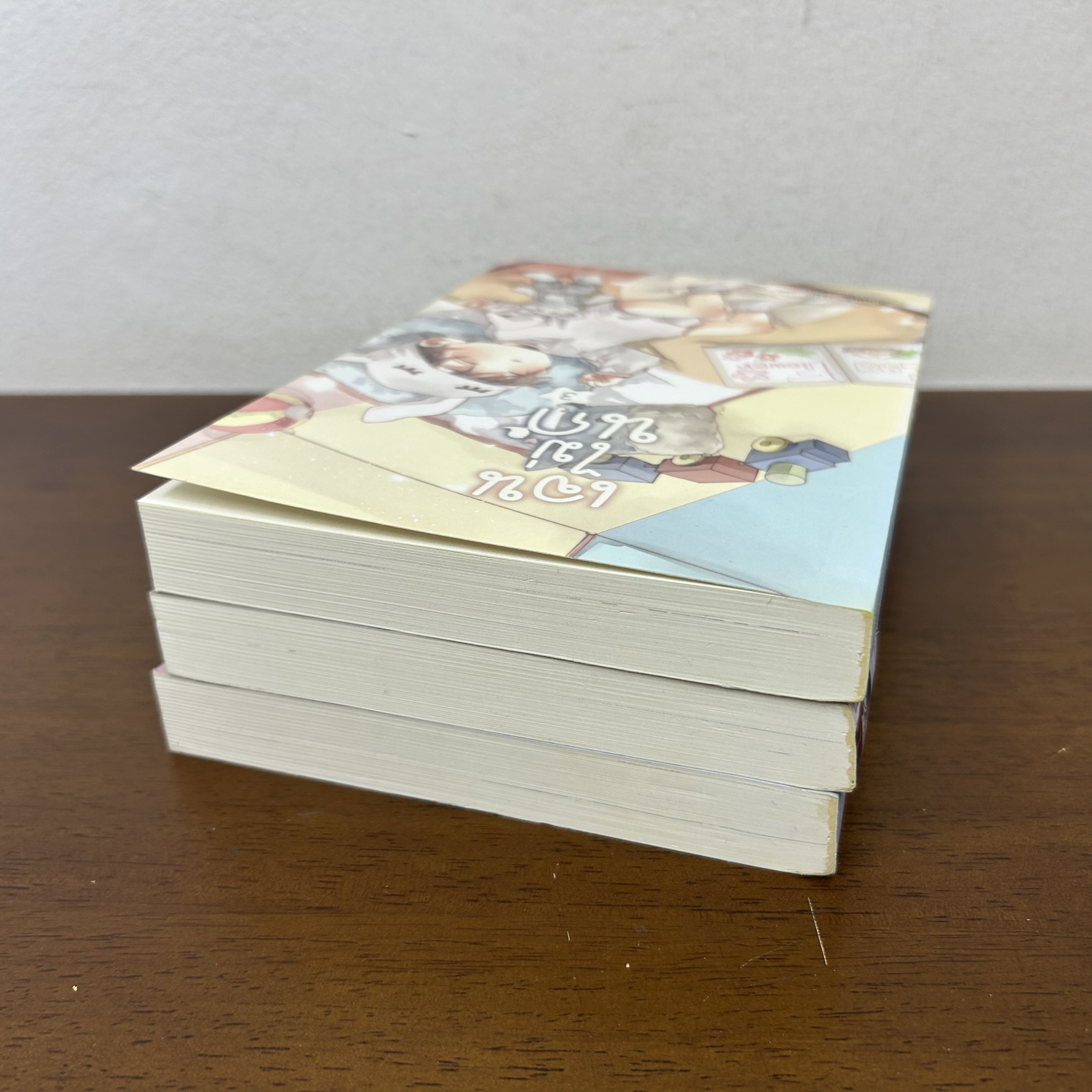 [YAOI] เจนไม่นก เล่ม 1-3 จบ ... Skylover (มือสอง) นิยายวาย Hermit