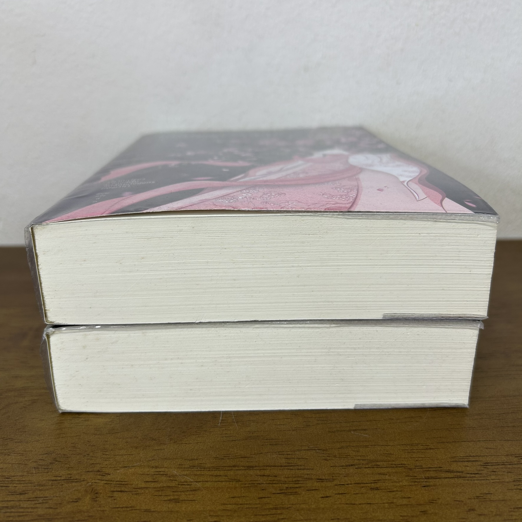 ยอดพธูโจรสลัด เล่ม 1-2 จบ ... เยวี่ยชูอวิ้น Yue Chu Yun เขียน (มือสอง) นิยายรัก แปลจีน อรุณ