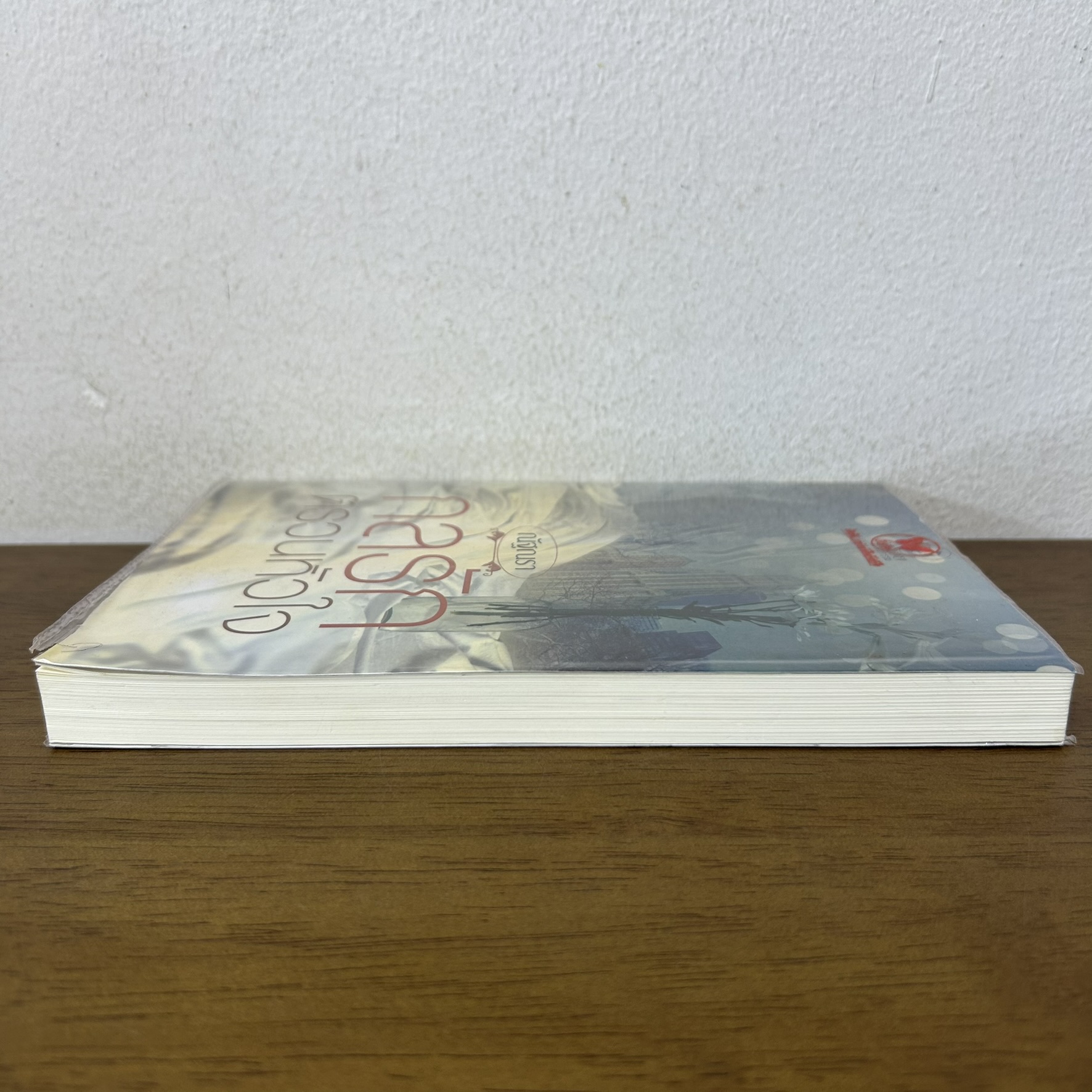 กลรักตรวนหัวใจ ... ณัฐณรา (มือสอง) นิยาย โรมานซ์ พลอยวรรณกรรม