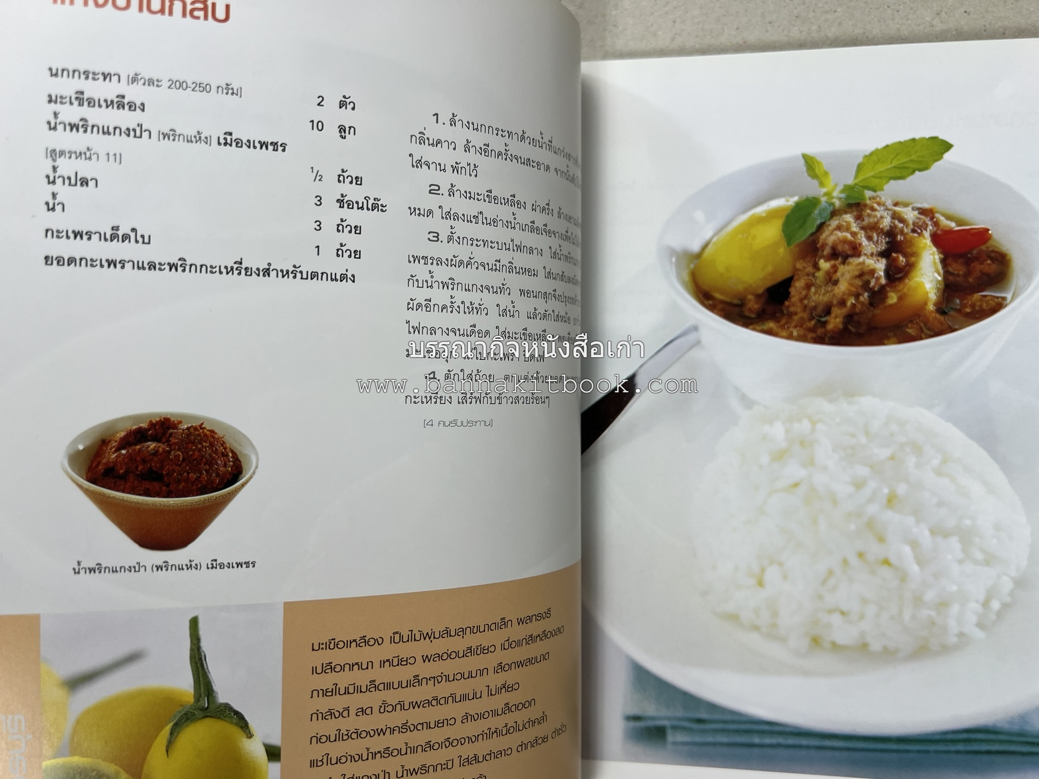 ข้าวแกงเป็นอาชีพ โดย : สำนักพิมพ์แสงแดด.