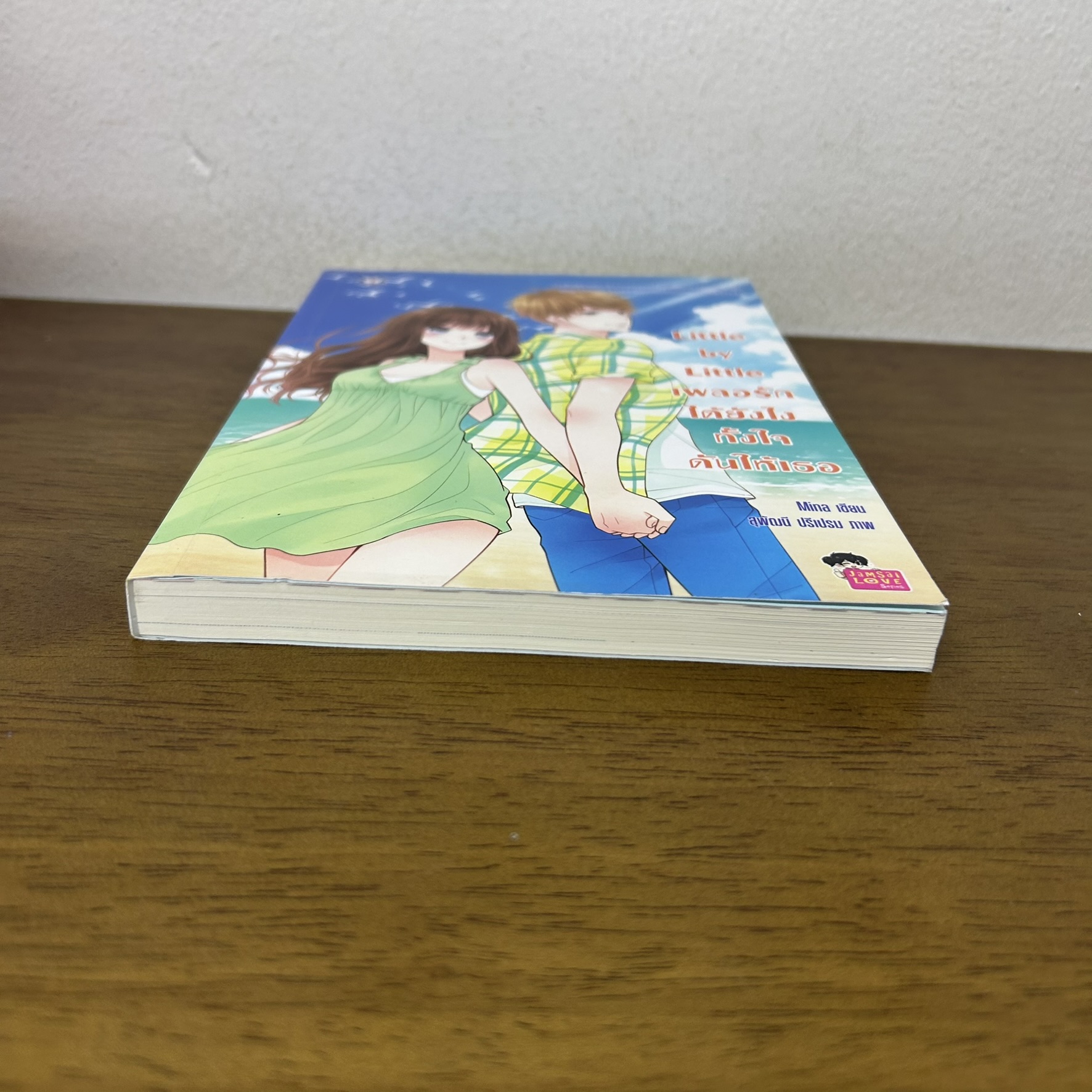 Little by Little เผลอรักได้ยังไง ทั้งใจดันให้เธอ ... Mina (มือสอง) นิยาย แจ่มใส เลิฟซีรีส์