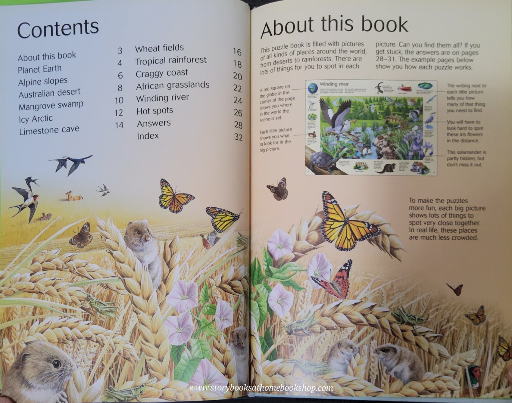 PUZZLE BOOK** ð
ðUSBORNE THE GREAT PLANET EARTH SERCH